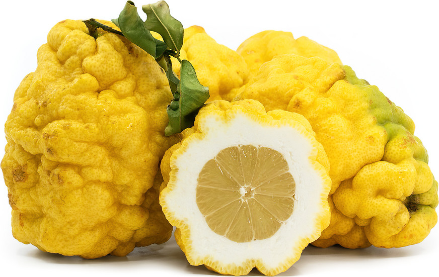 Rare Cretan Pergamonto- citrus-3 cuttings, fresh, no roots,