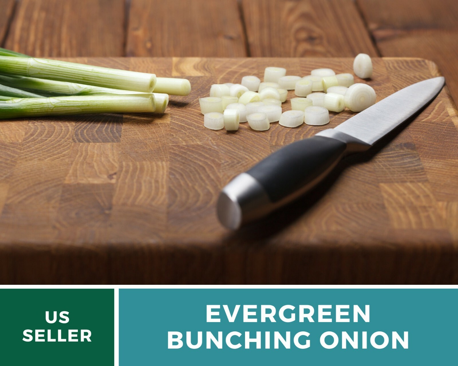 Onion, Evergreen Bunching Scallions – Heirloom Seeds – Heirloom – Non GMO