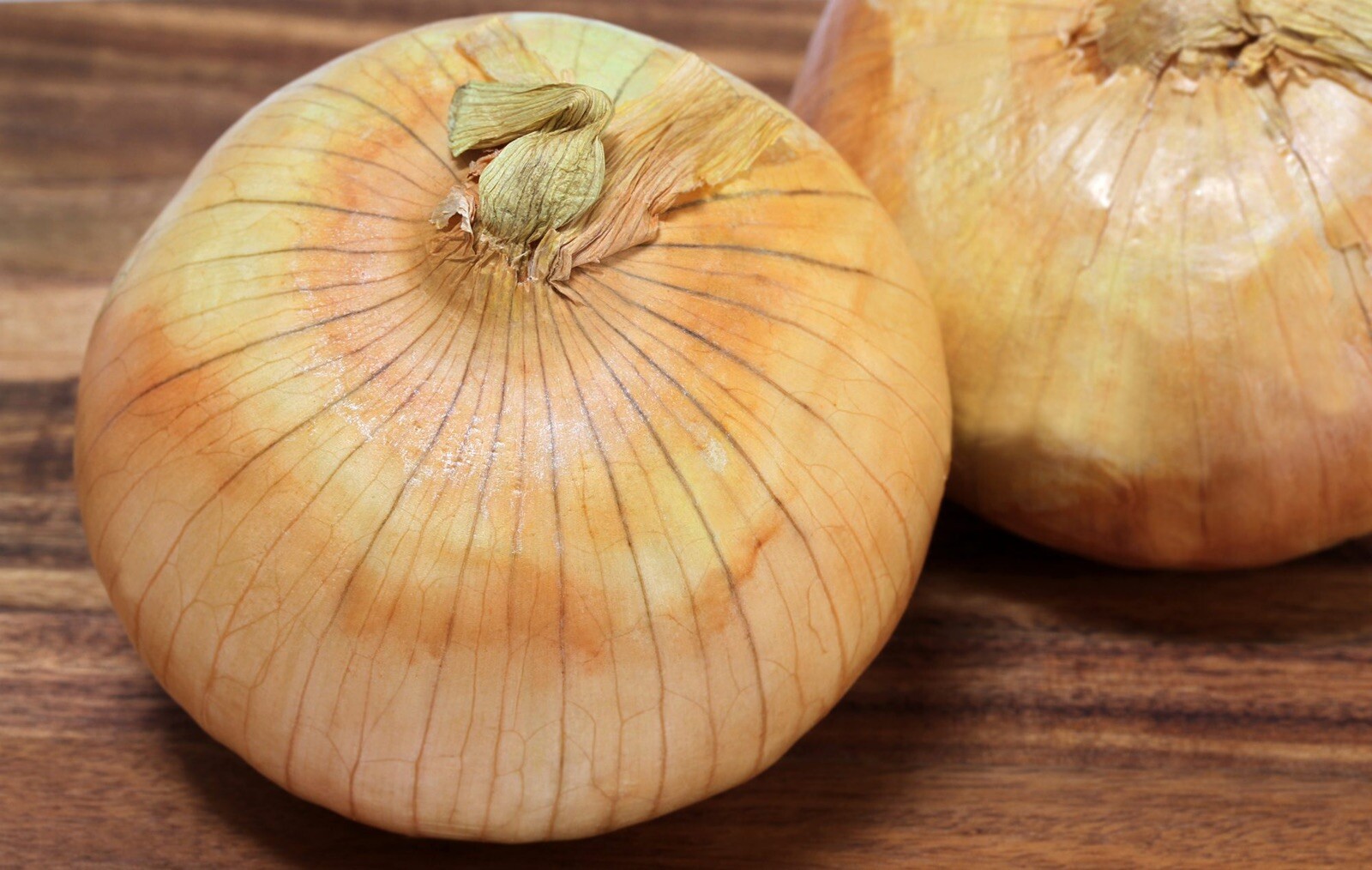 250 Treated Vidalia Sweet Onion Seeds Non-GMO Heirloom Free Shipping