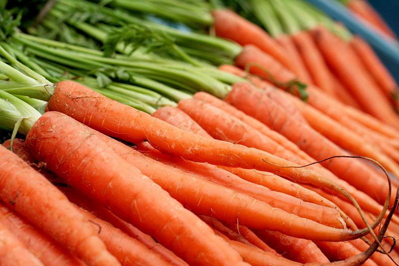 775 SEEDS – carrot NANTES SCARLET USA GroCo (BUY ANY 15-ORDER SHIPS FREE)