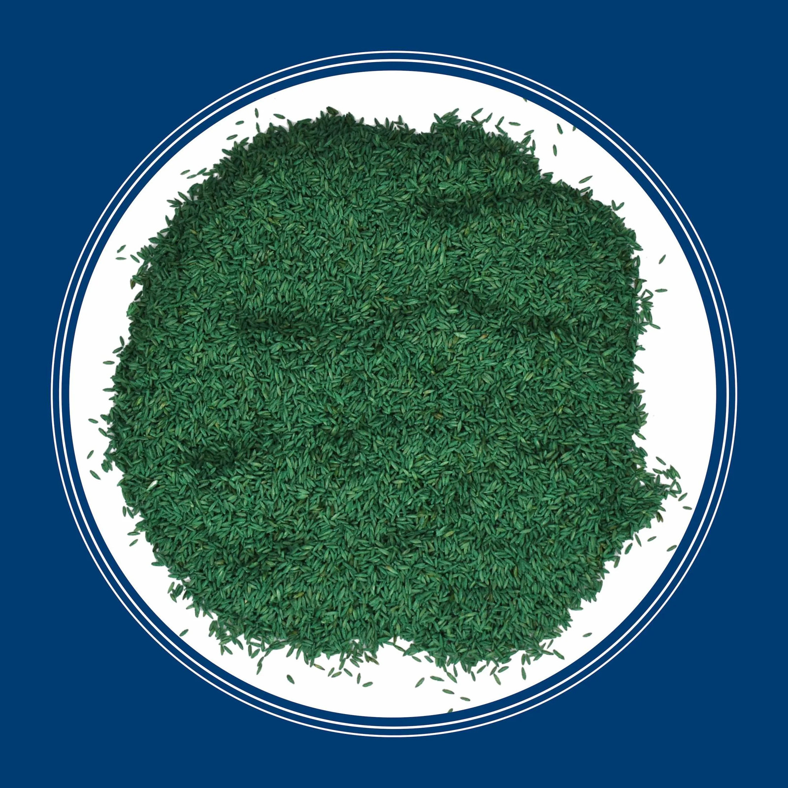 Kentucky Bluegrass Northern Grass Seed Mix for Sun to Partial Shade, 3 Lb