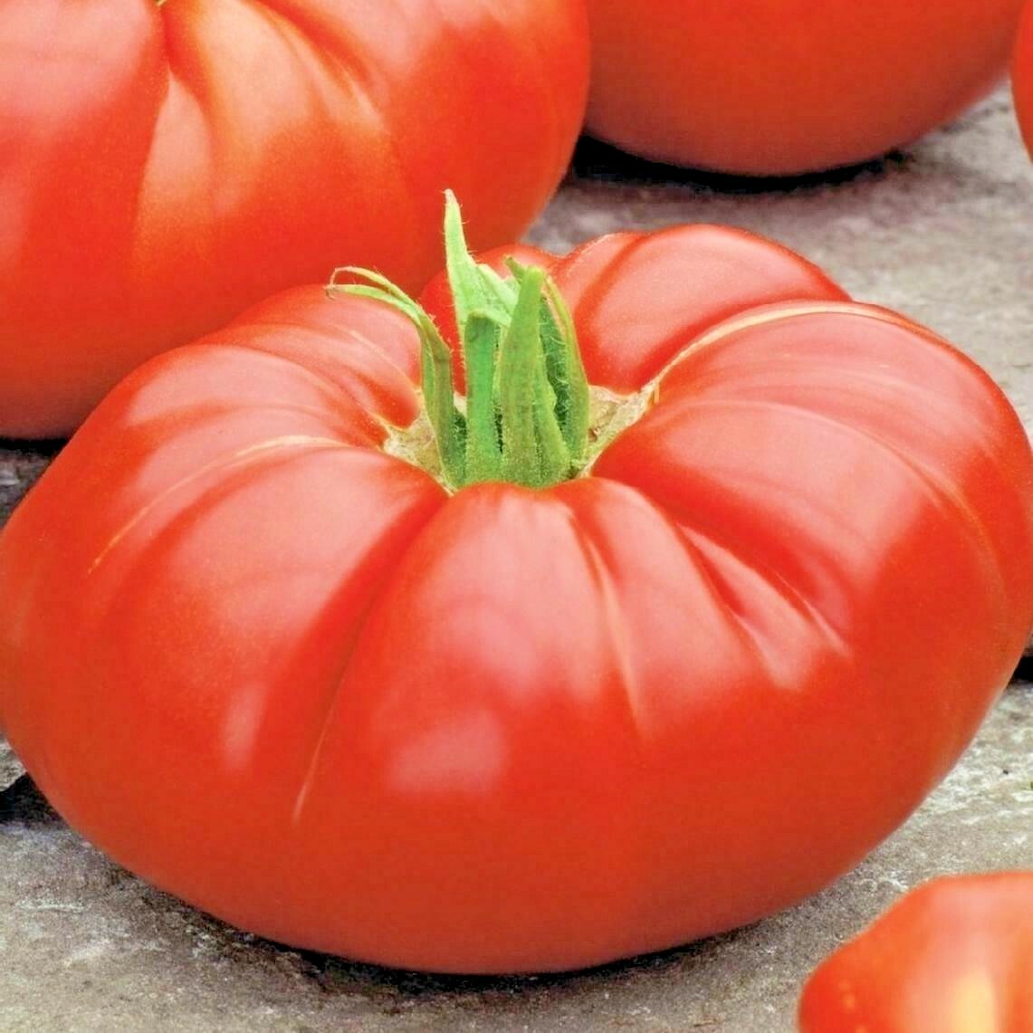150+BEEFSTEAK TOMATO Seeds Organic Native Vegetable Summer Garden Container Easy