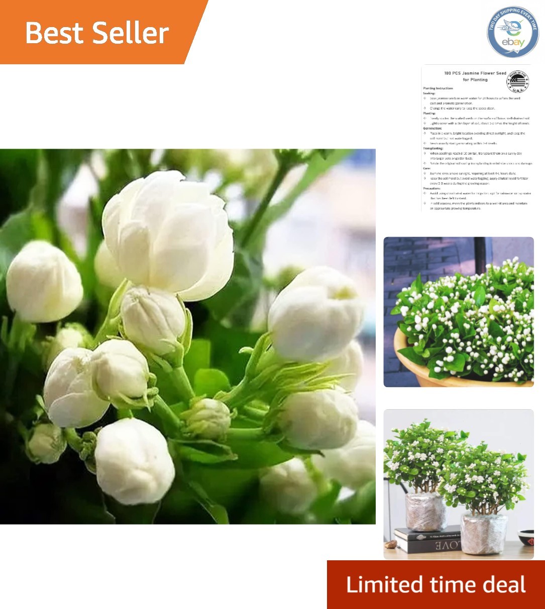 Evergreen Climbing Jasmine Flower Seeds – 100+ for All-Season Garden Elegance