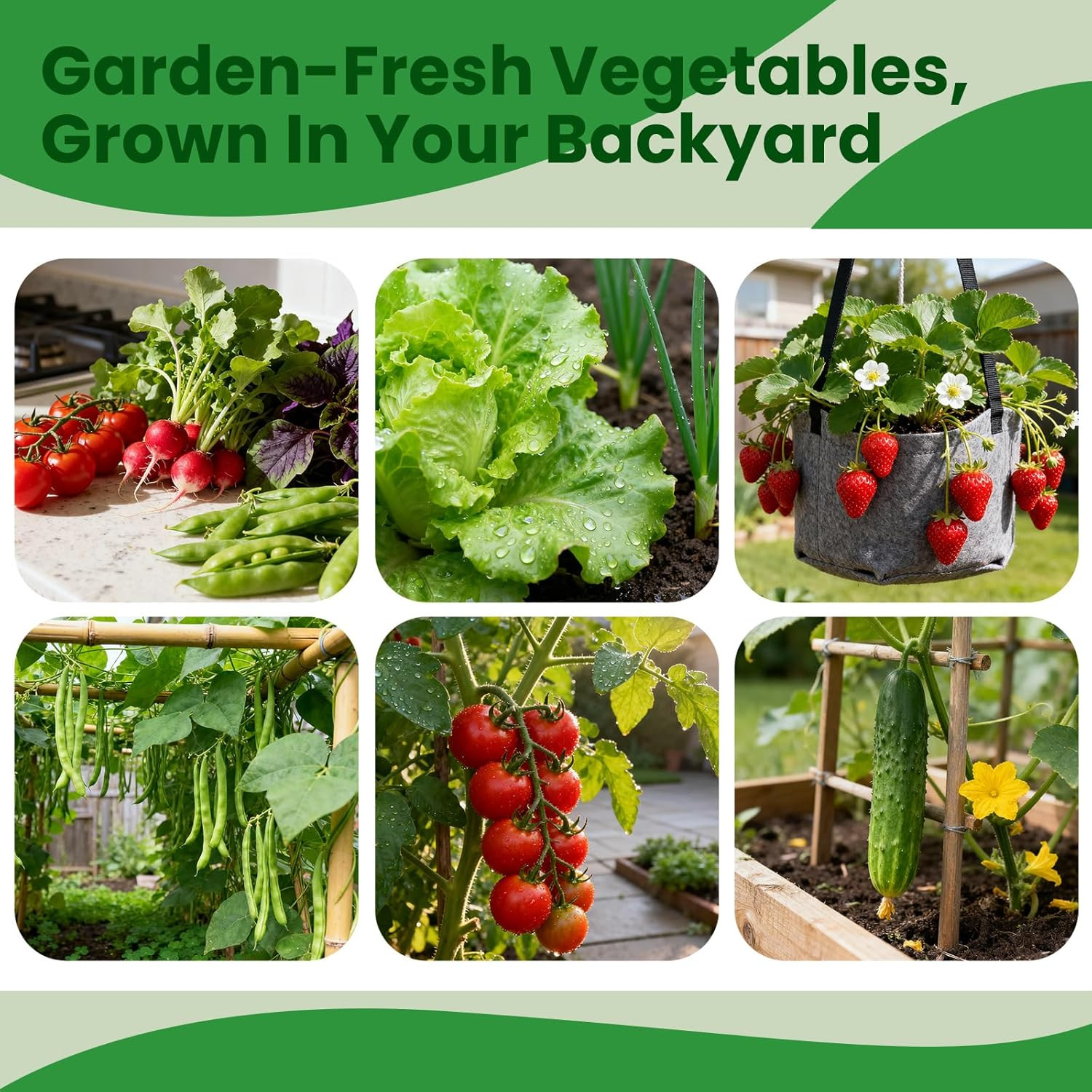 45 Vegetable Seeds Variety Pack – 17,000+ Non-GMO Heirloom for Planting Garden S