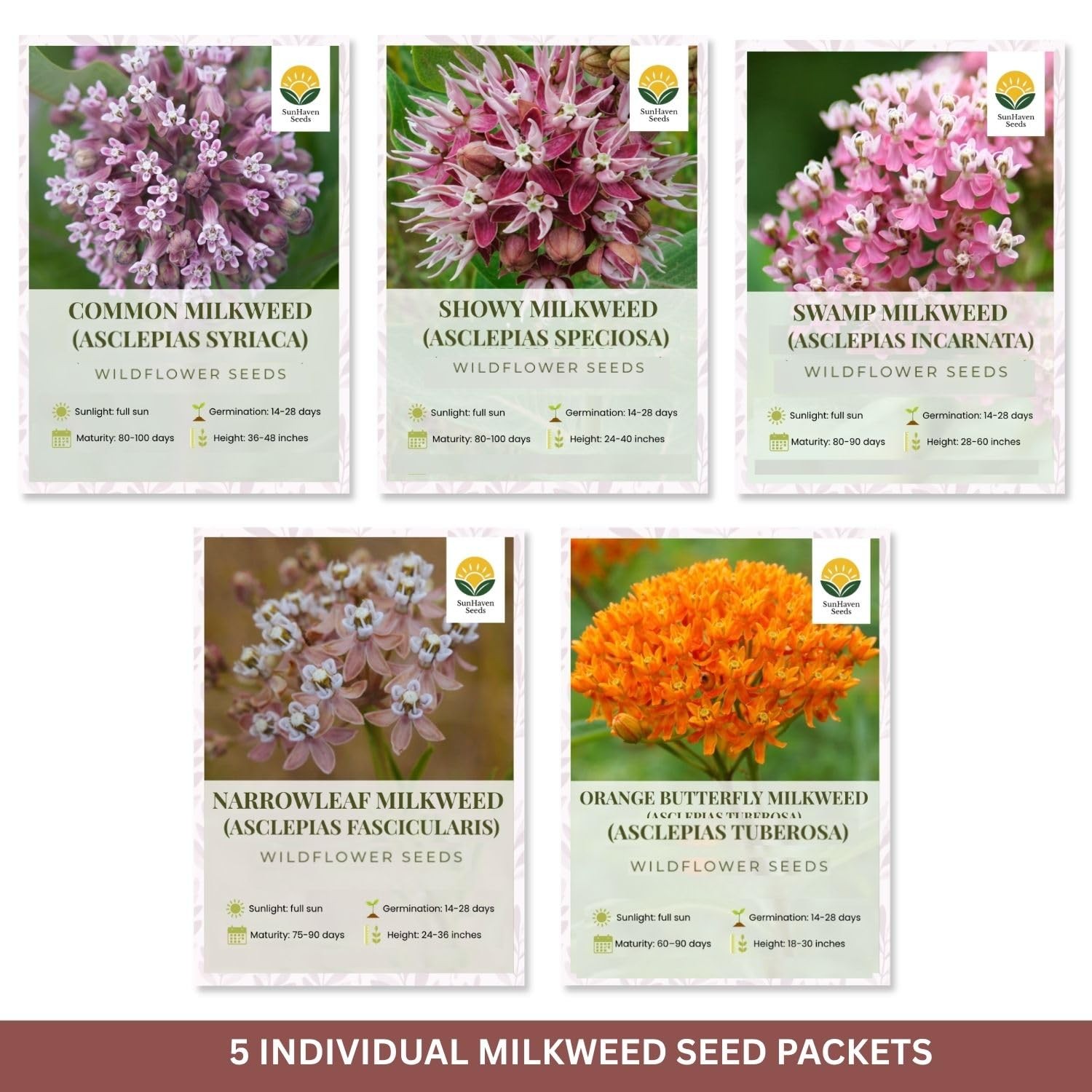 Native Milkweed Variety Pack – 5 Essential Species for Monarch Butterfly Gard…