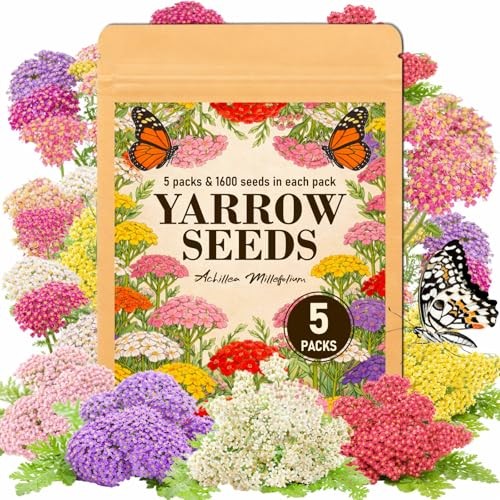 8000+ Yarrow Seeds for Planting – 5 Packs Colors Mixed, Achillea Millefolium