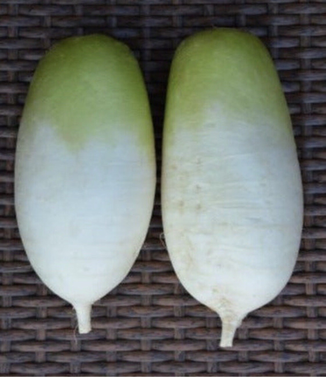3-gram 200+ Korean Autumn Hybrid Daikon Radish seeds; Joseon Mu 조선무 朝鮮白蘿蔔
