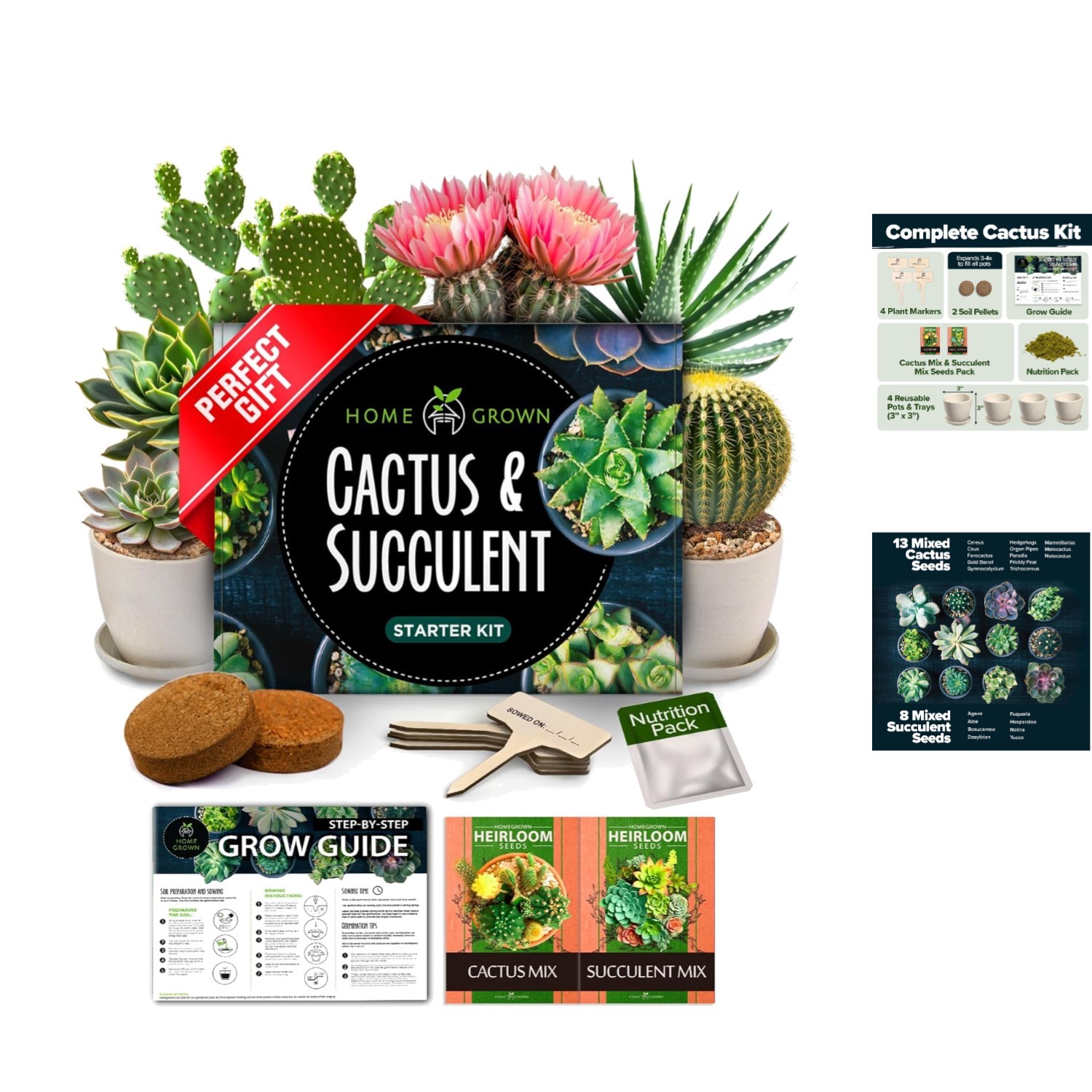 Indoor & Outdoor Cactus & Succulent Starter Kit – All-in-One Gardening