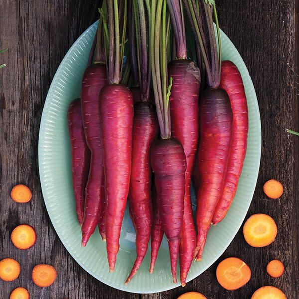 Carrot Seeds COMBO Atomic Red Core Chantentay Purple Dragon Solar Yellow Nantes