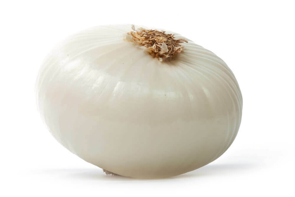 SOLD OUT TILL FALL 2024 Onion