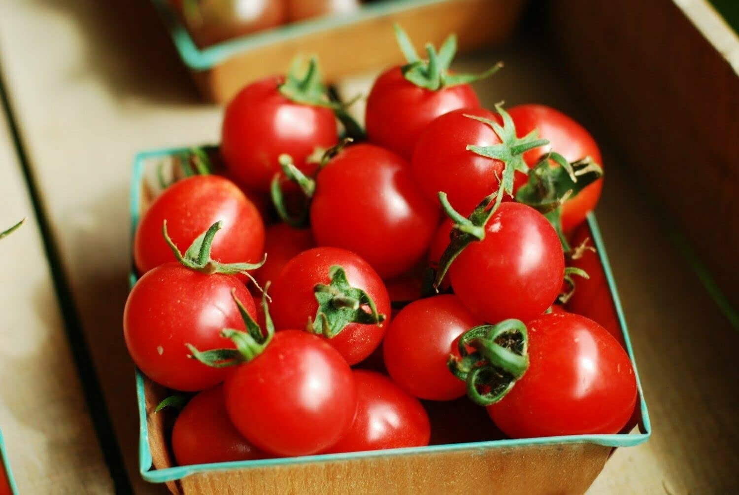 MOCCUROD 100 Seeds Indoor Cherry Tomato Dwarf Red and Yellow Tomato Rare Vege…