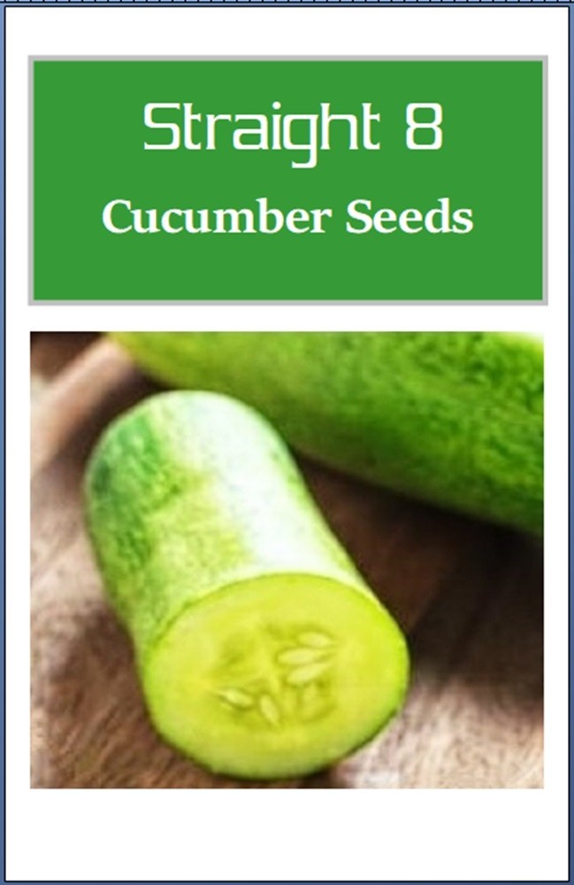 Straight Eight Cucumber Seeds | NON-GMO | Heirloom | Fresh Garden Seeds