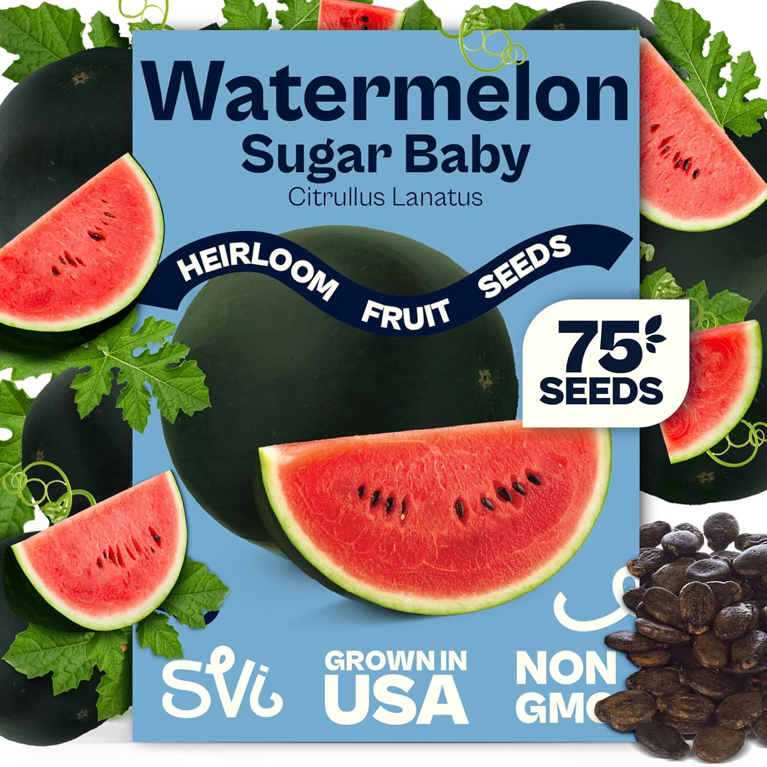 75 Sugar Baby Watermelon Seeds for Planting (Citrullus Lanatus) – Sweet Watermel