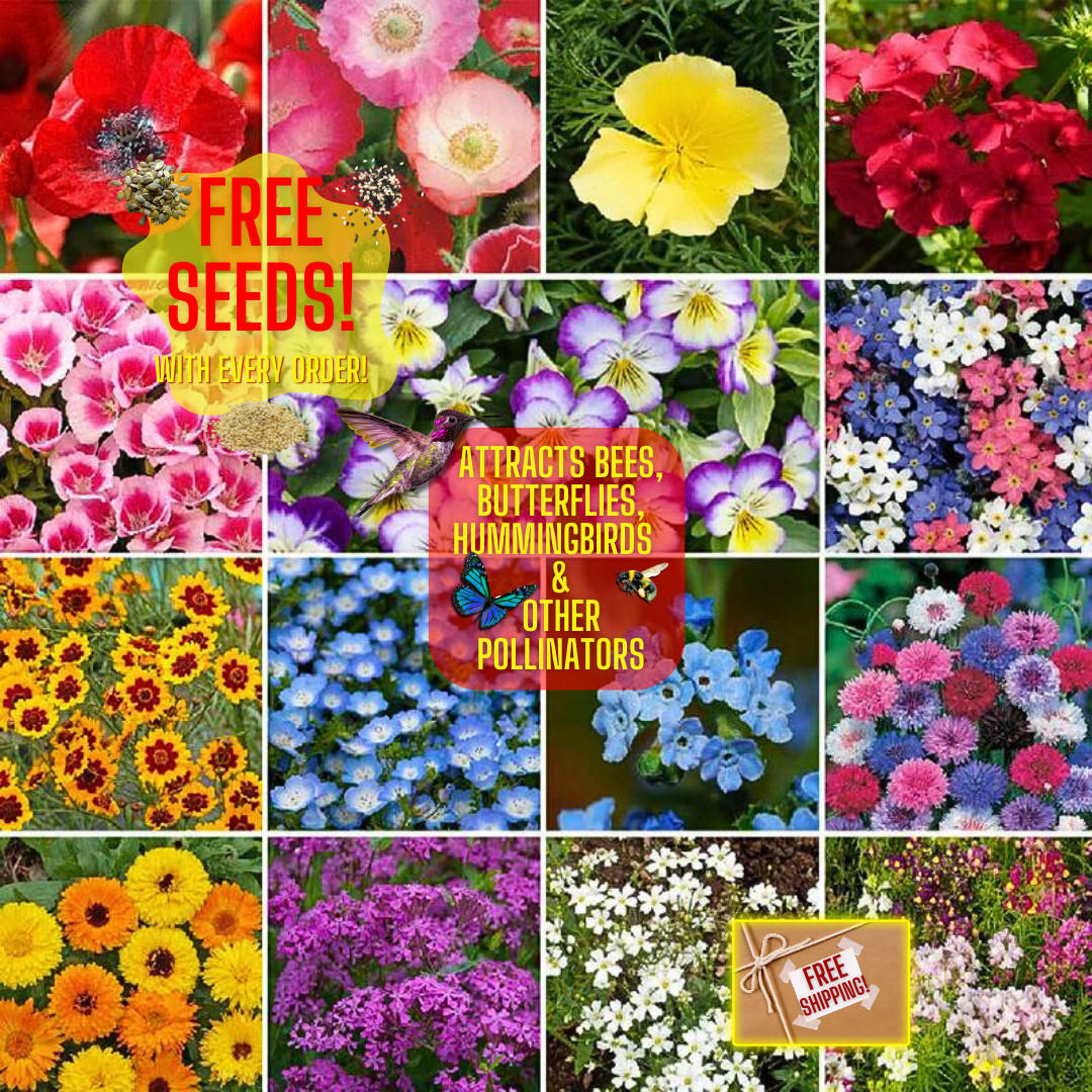 Wildflower Seed Mix