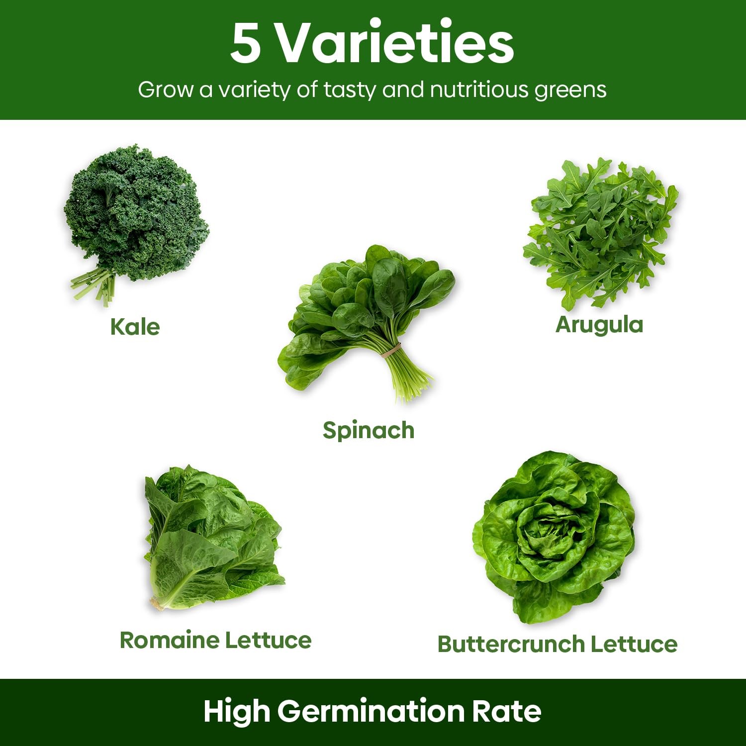 Non-GMO Heirloom Lettuce Seeds – 5 Varieties for Outdoor, Indoor, Hydroponic