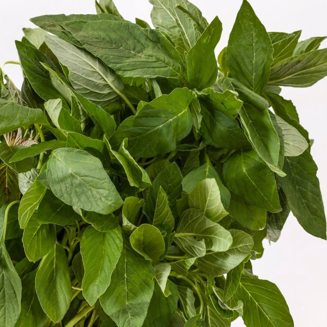 Fresh Green Leaf Amaranth Seeds | Lu Hsien | Heirloom Non-GMO | Asian Vegetables