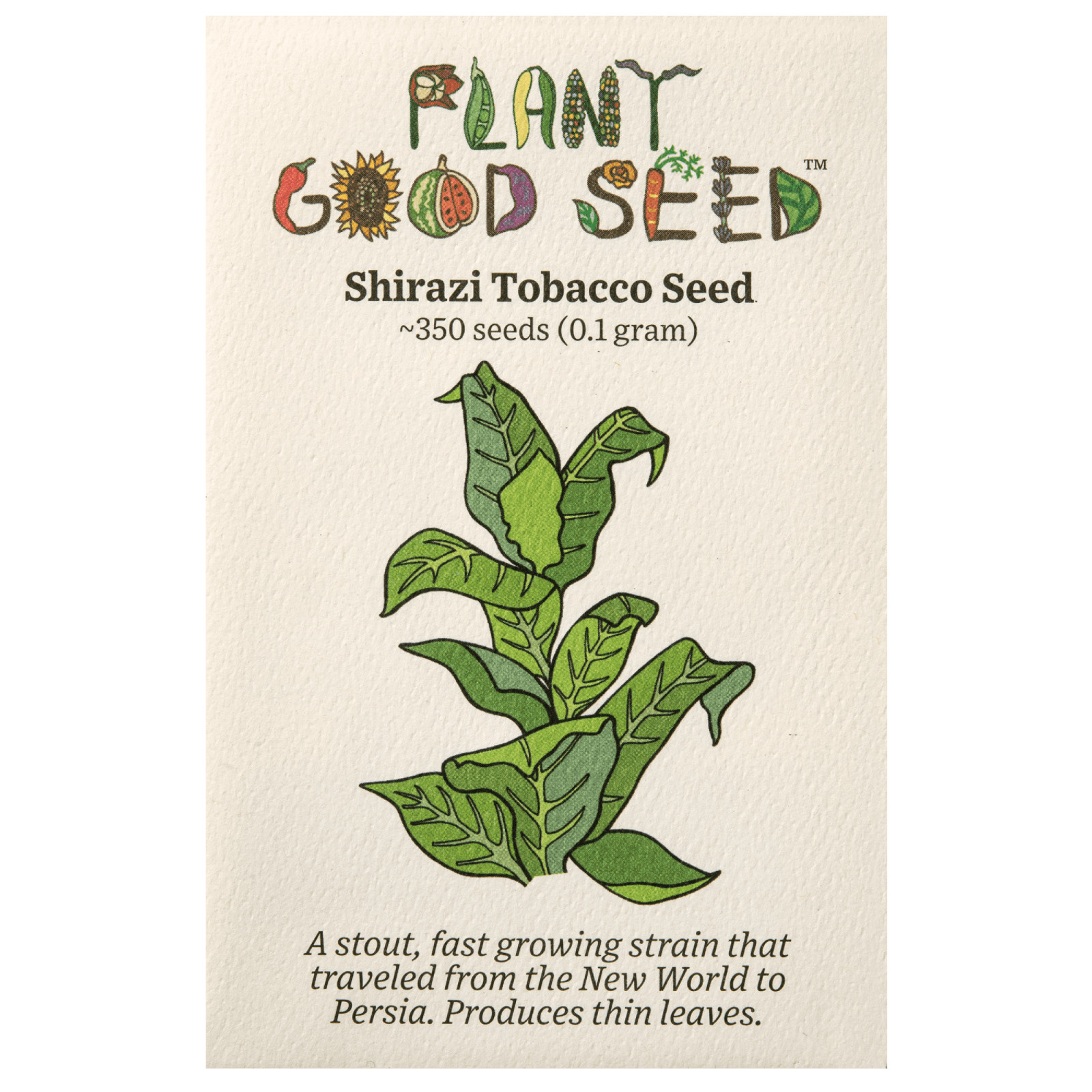 Shirazi Tobacco Seeds: Persian Heirloom USDA Certified Organic USA Grown Non-GMO
