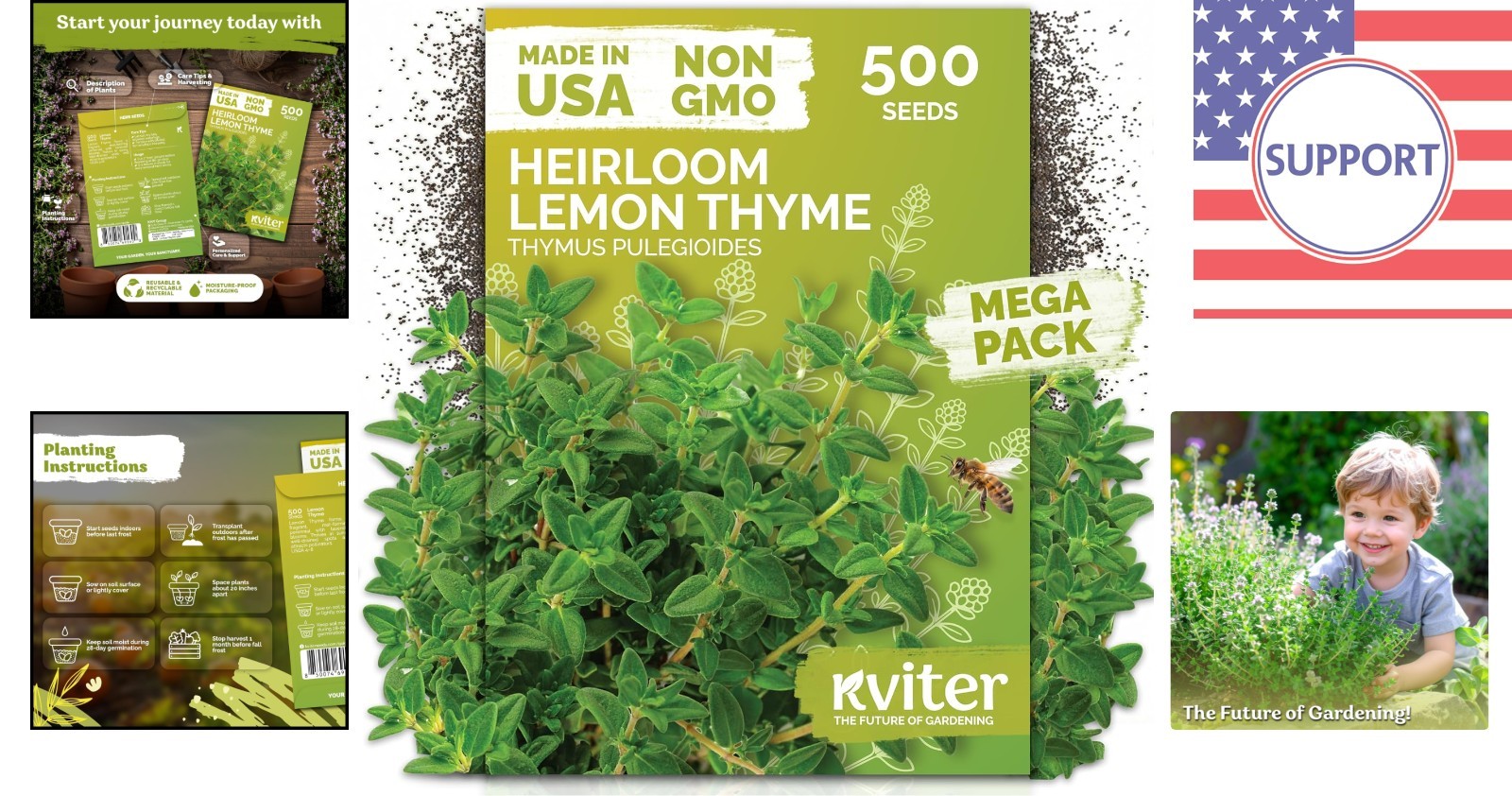Vibrant 500 Count Lemon Thyme Seeds – Aromatic Ground Cover for Full Sun Gardens
