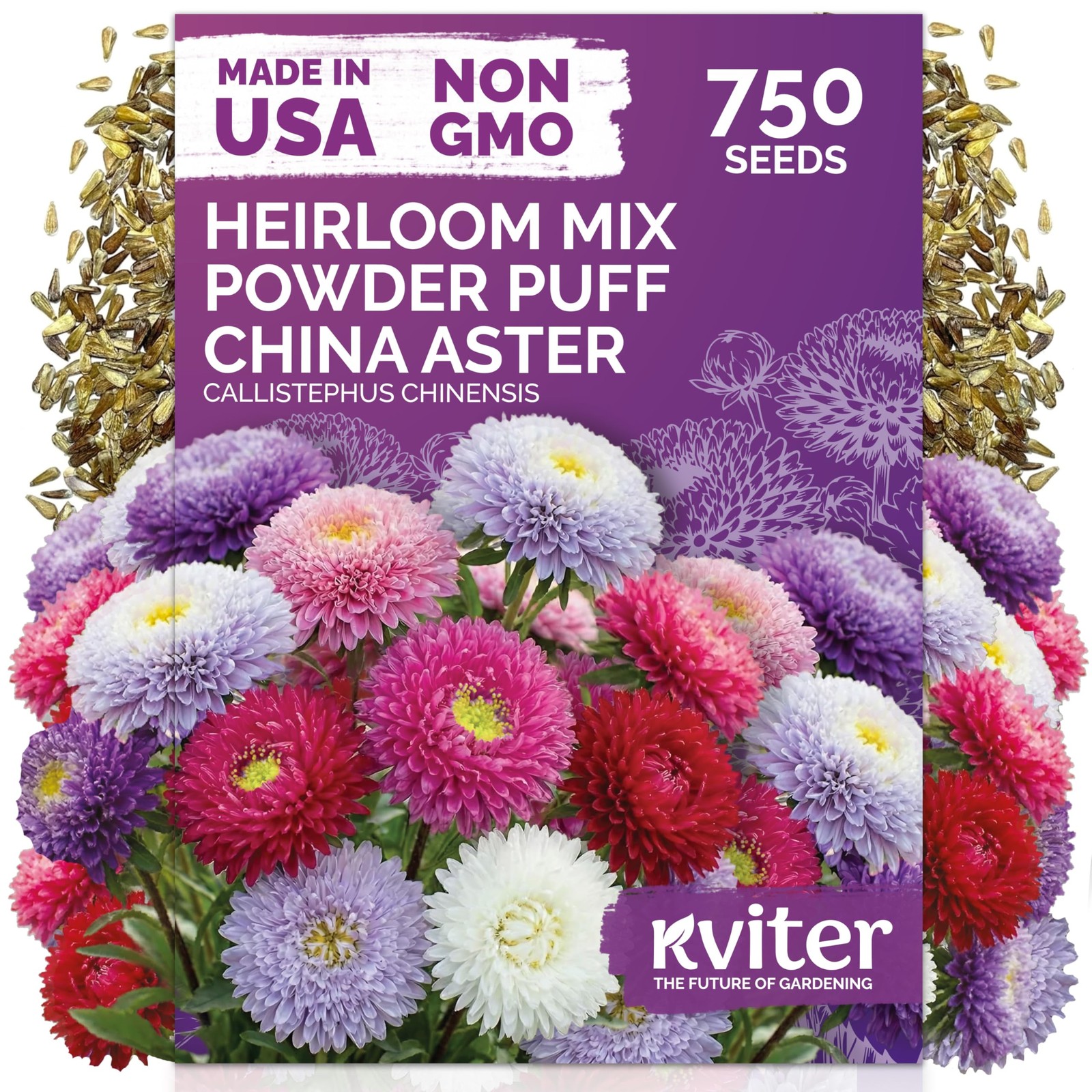 KVITER 750 Mix Powder Puff China Aster Seeds (Callistephus Chinensis)