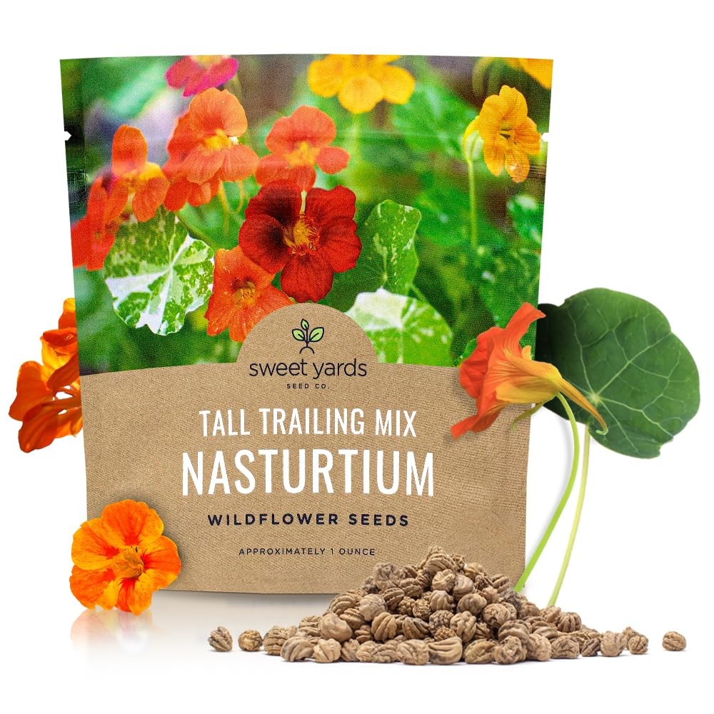 Nasturtium Seeds Mixed Colors Large Packet 200 Flower Seeds Tropaeolum Majus