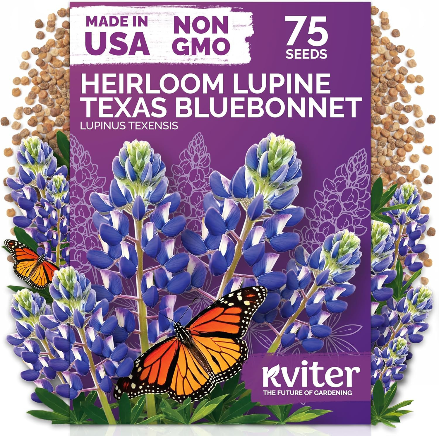 75 Texas Bluebonnet Seeds (Lupinus Texensis) – Texas Lupine, Pollinator Friendly