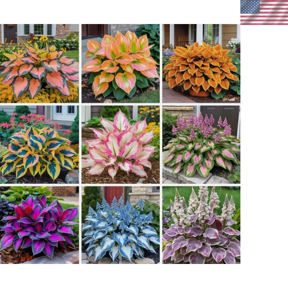 100 Count Hosta Seeds – Heart-Shaped, Low-Maintenance Perennials for Pollinators
