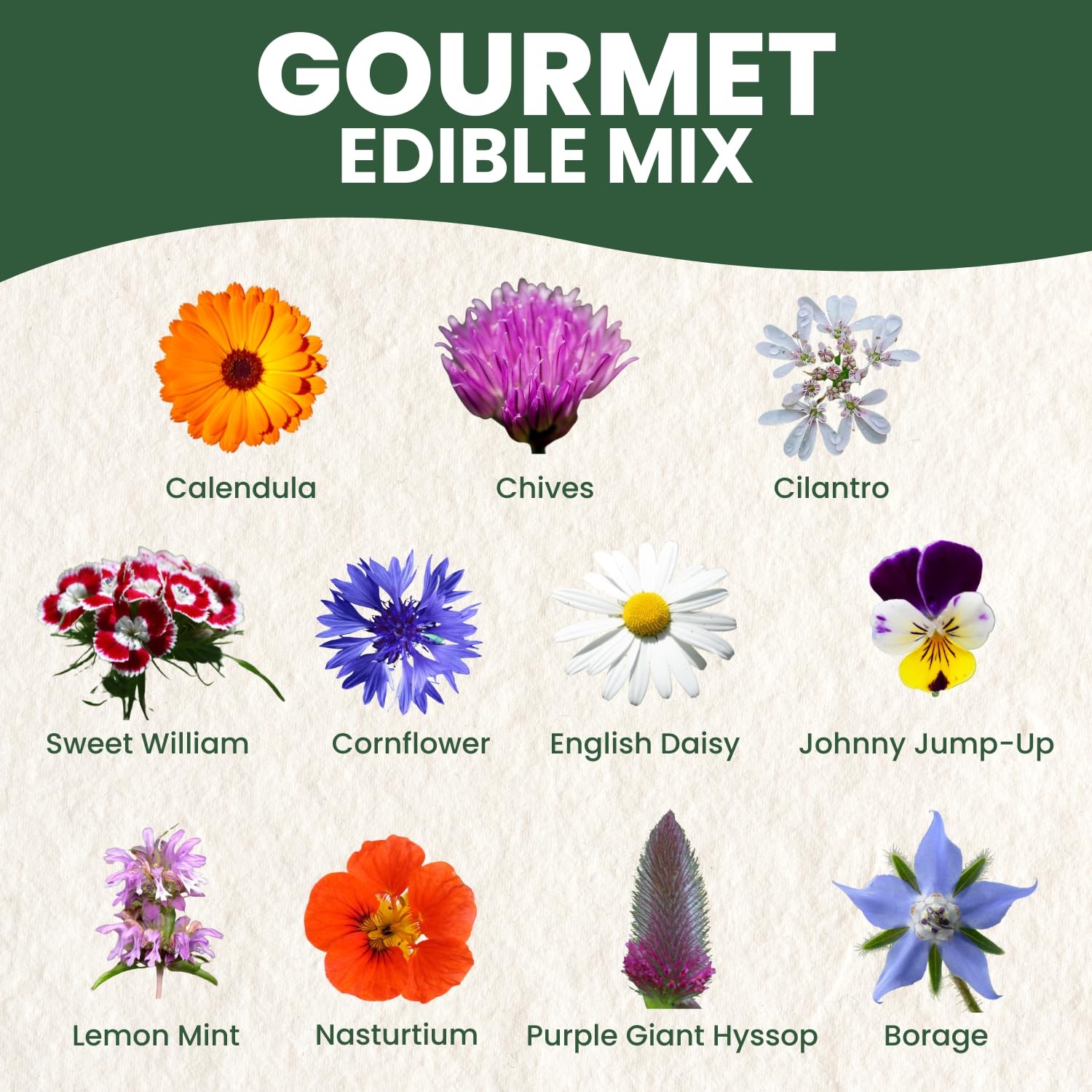 Gourmet Edible Mix – 1,000 Premium Seeds for Planting – Fresh Culinary Flower…