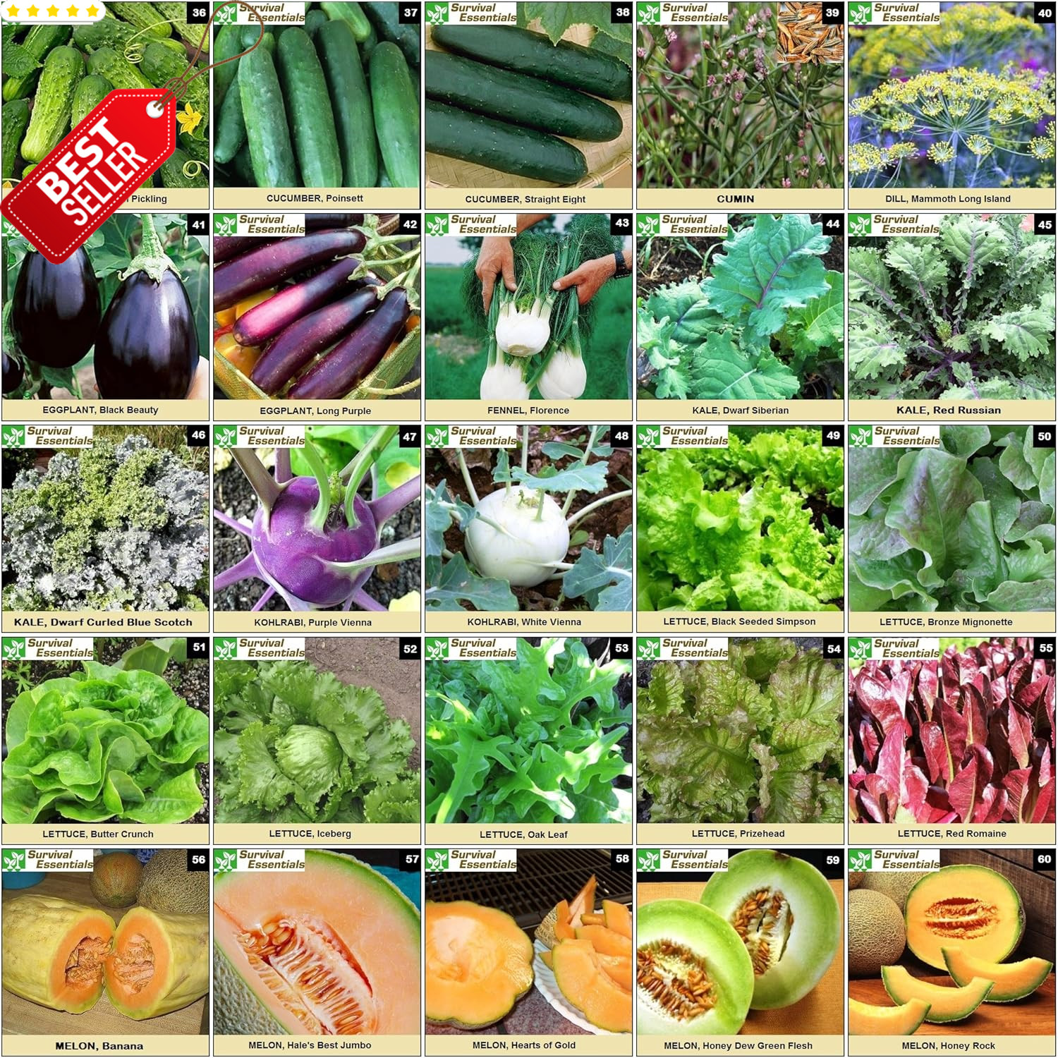 Heirloom Seeds 135 Variety Vegetable Fruit Herb Non-GMO Planting Kit US