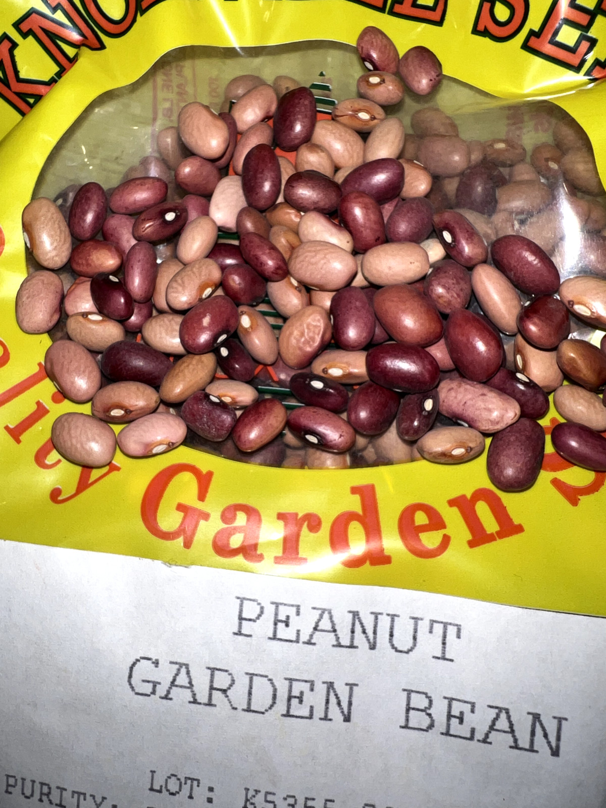 Over 150 Red Peanut Garden Bean Seed – Heirloom Green Beans — Quick Mail