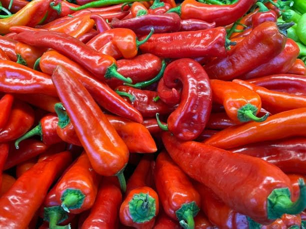 Cayenne Pepper Seeds for Planting, 200 Hot Pepper Seeds Cayenne Jalapeno, Non-Gm