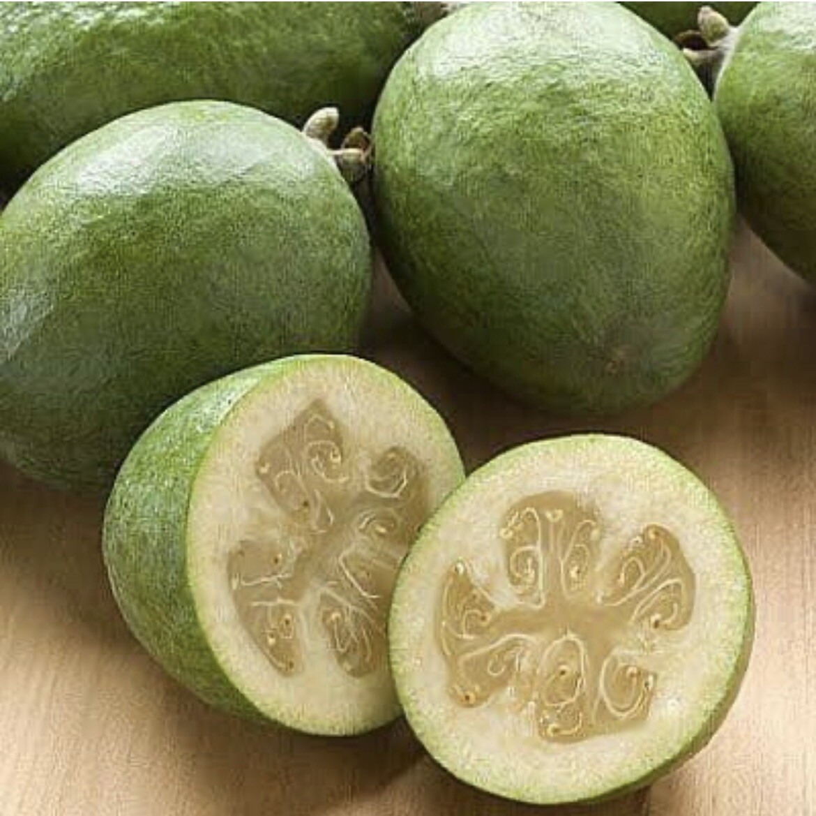 Feijoa Sellowiana, Pineapple Guava – 40 Seeds 2023 – USA