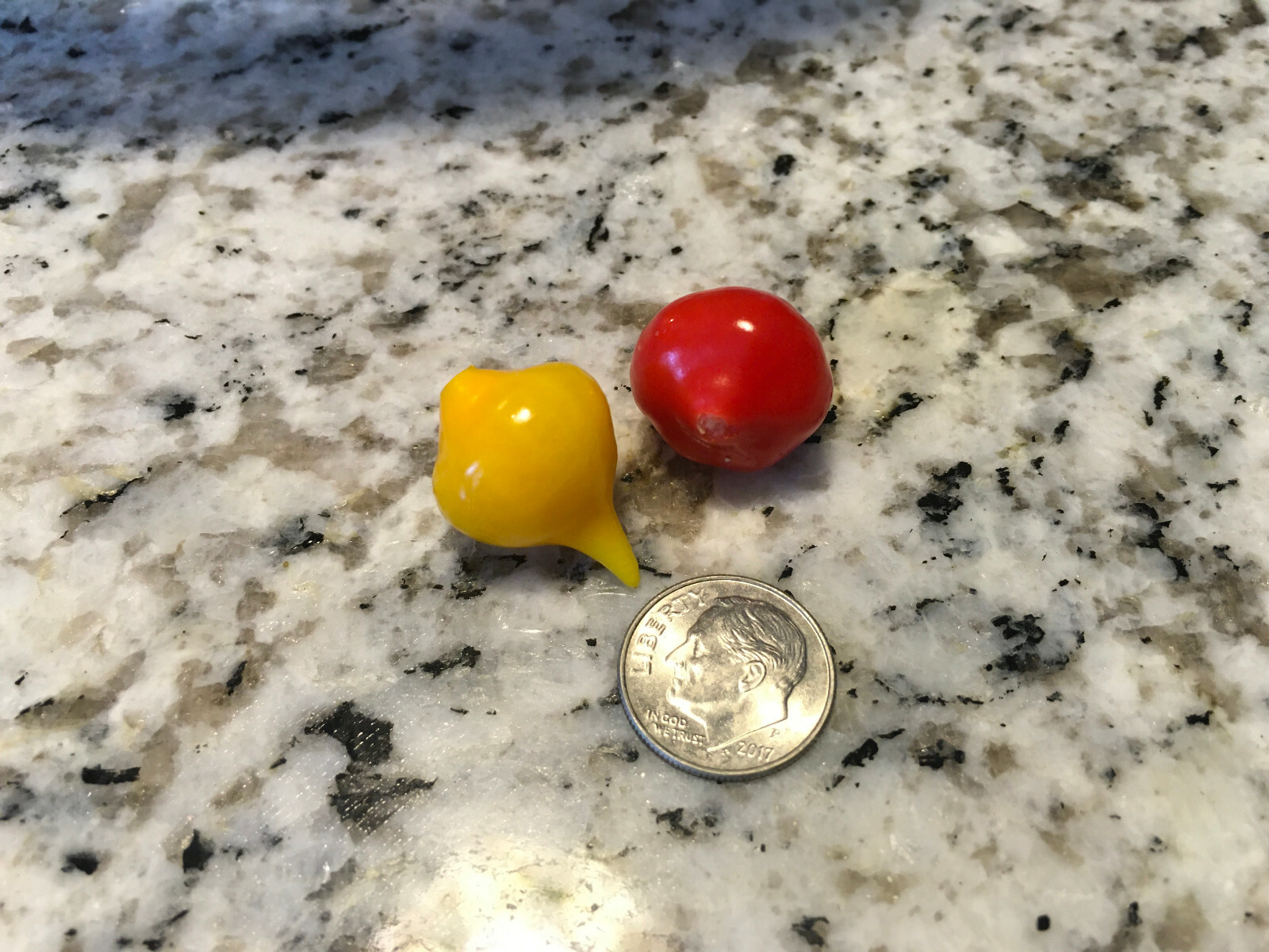 Sweety Drops Pepper Seeds Biquinho Petit Poivrons Qty 15+ (RED) Free Shipping