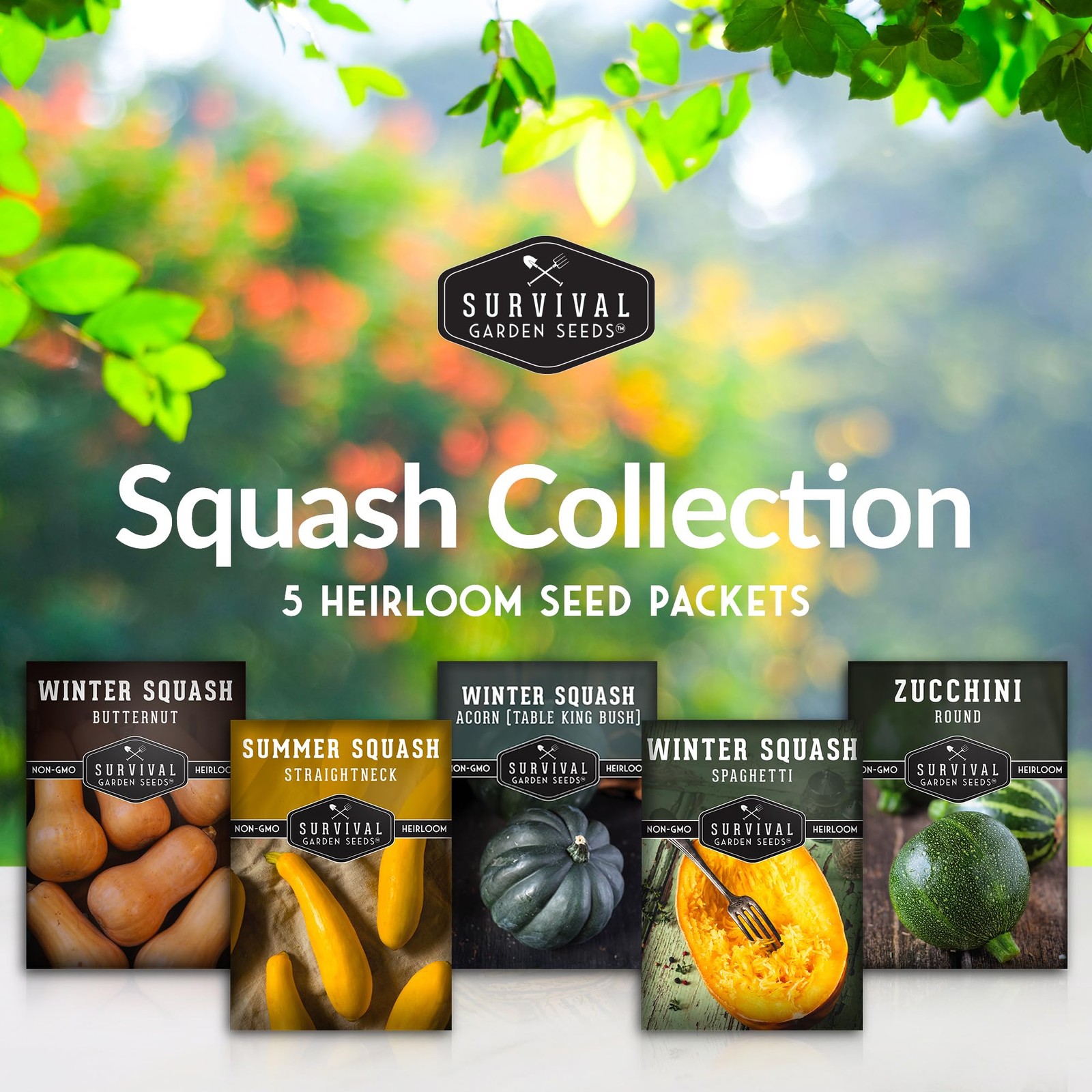 Squash Seed Collection to Plant – 5 Packs of Summer & Winter Squash – Round Z…