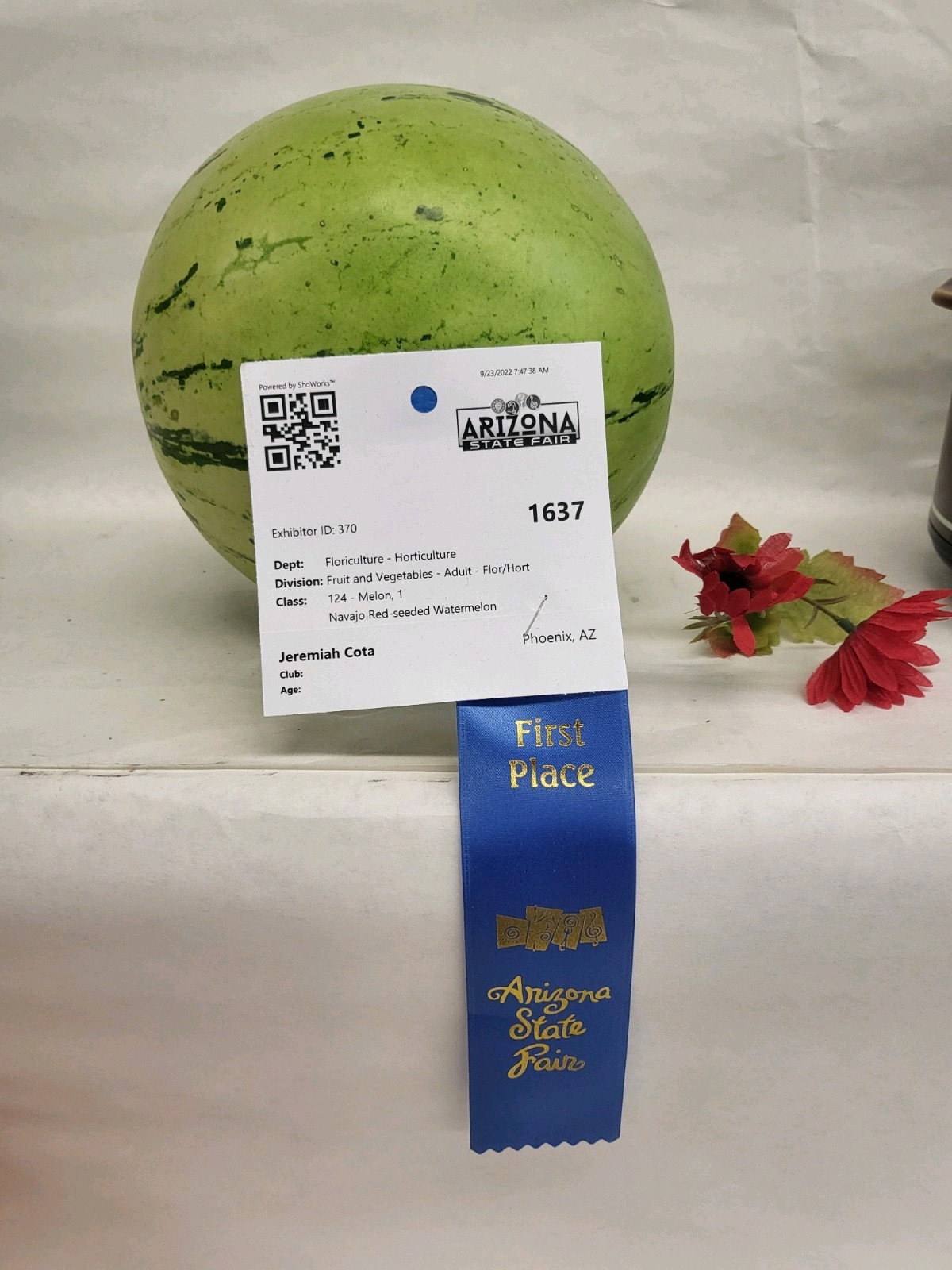 Blue Ribbon 1st Place Prize Winning Navajo Red Seeded Wetermelon Seeds seed