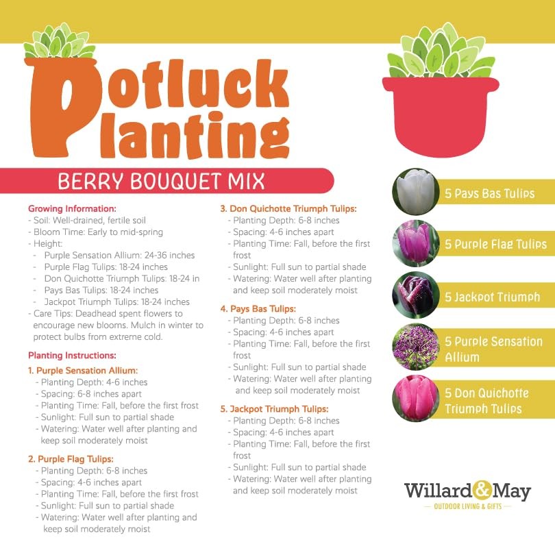 All-in-Flower Garden Kit – 25 Flower Bulbs Per Box – Potluck Planting Berry B…