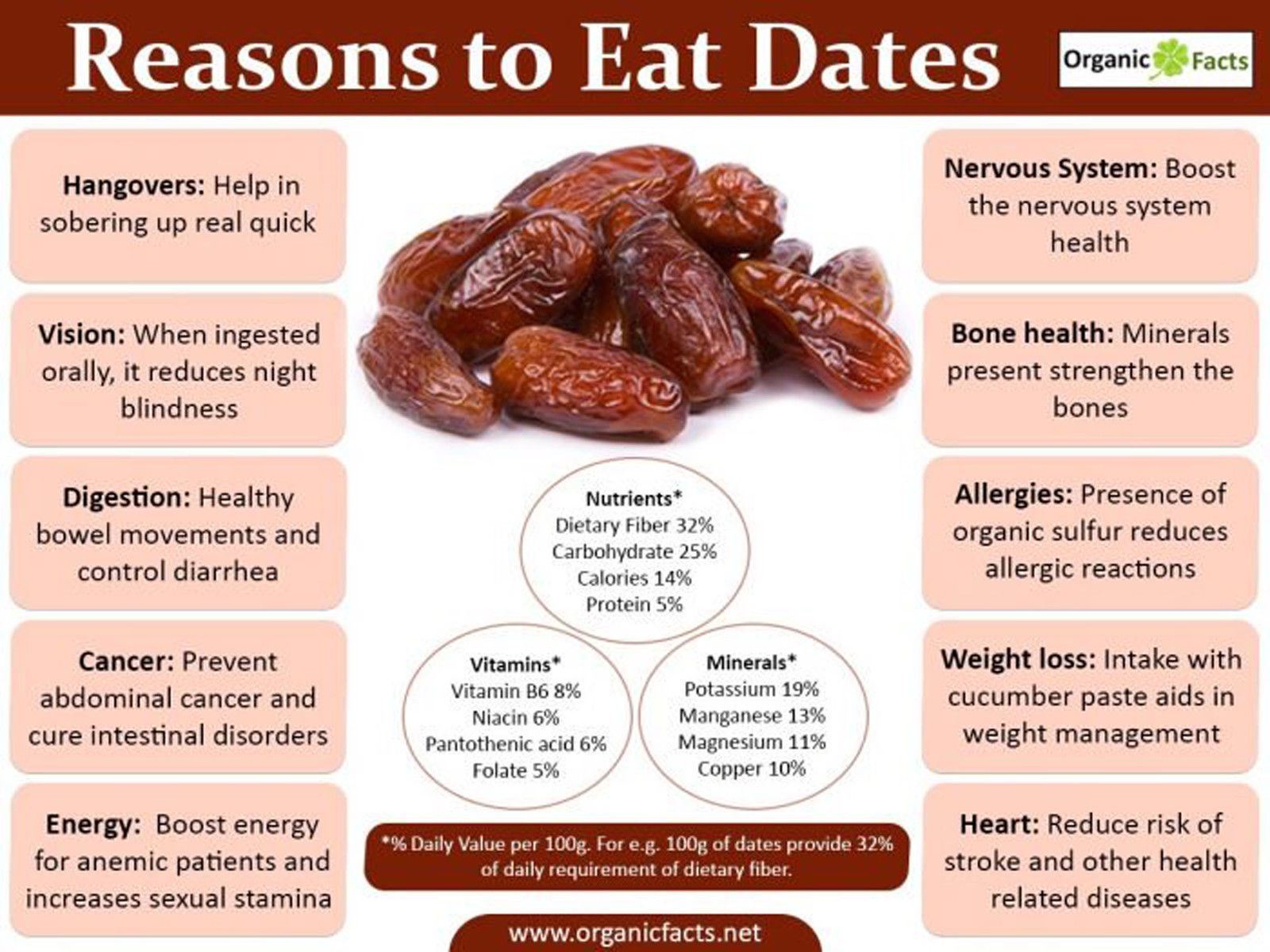 Dates Jumbo Medjool, ten [10] Date Palm seed – DATES SEEDS, DATE Seeds