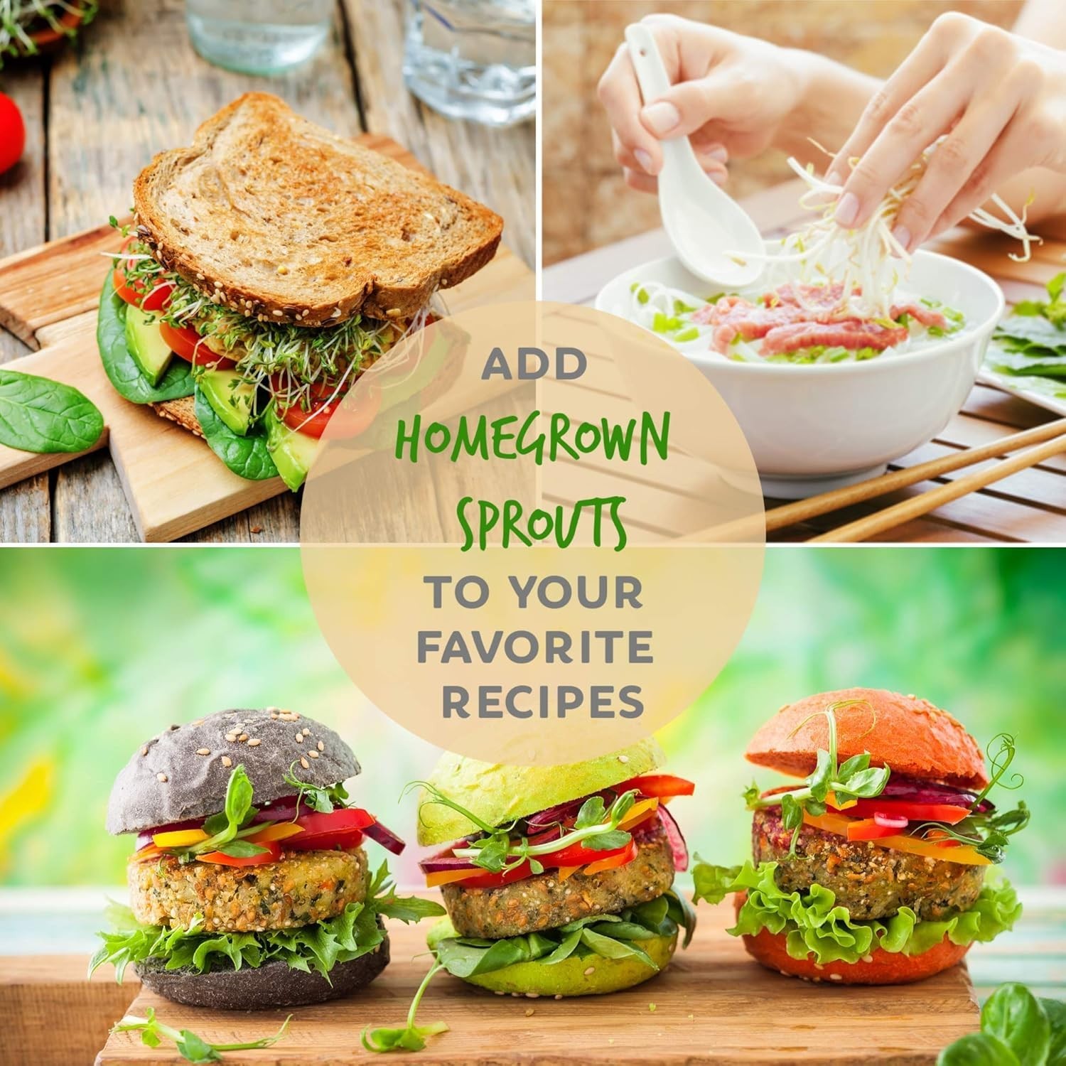 Organic Broccoli Sprouting Seeds – High Sulforaphane Power