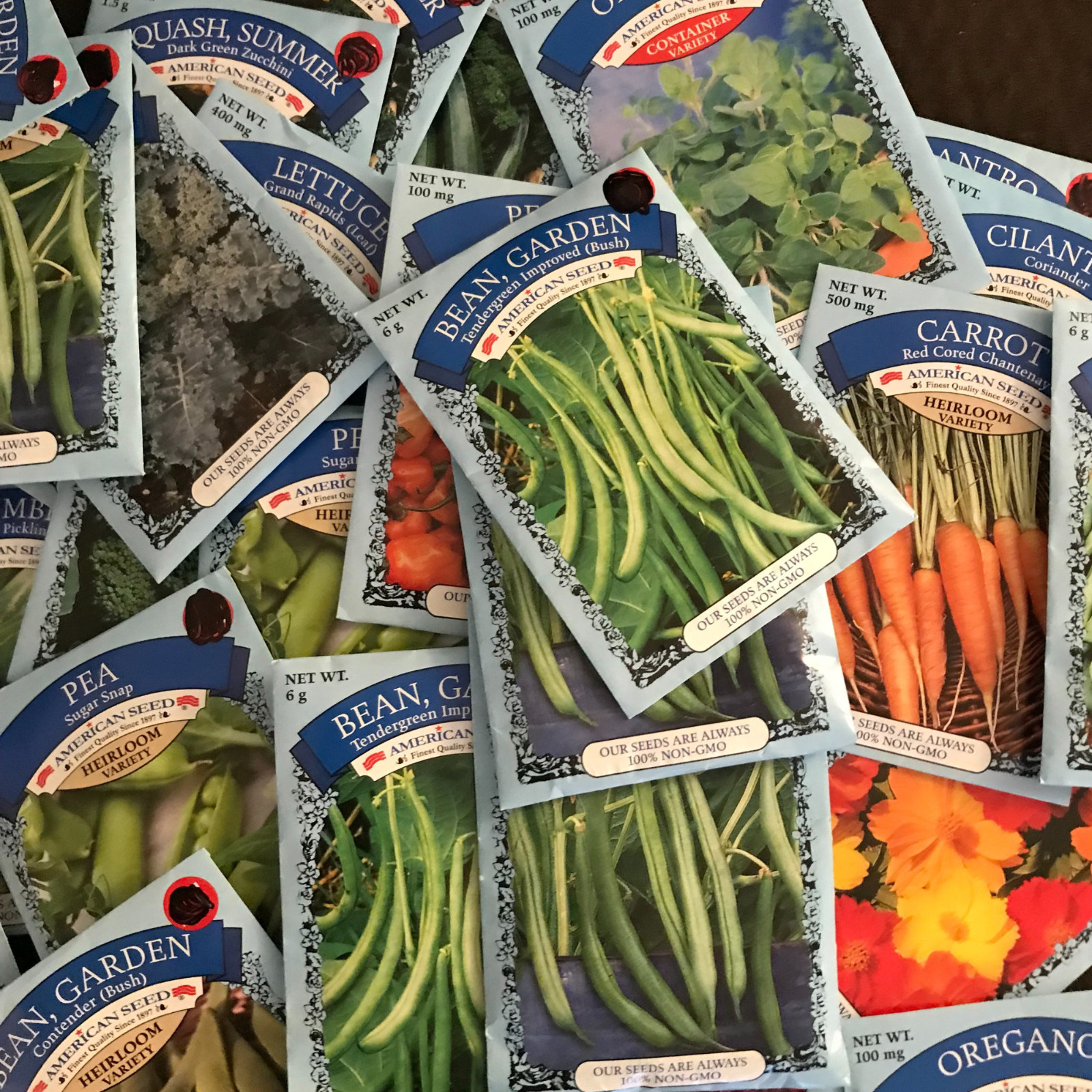American Seeds | Packed 22 & beyond | Vegetable Seeds | Single Pack Fast ship