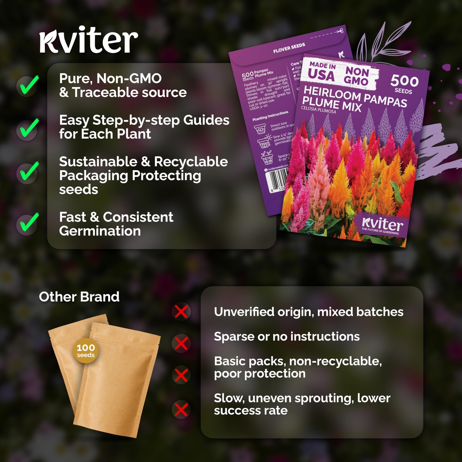 500 Mixed Pampas Plume Seeds for Planting – Non-GMO Celosia Flower Packets