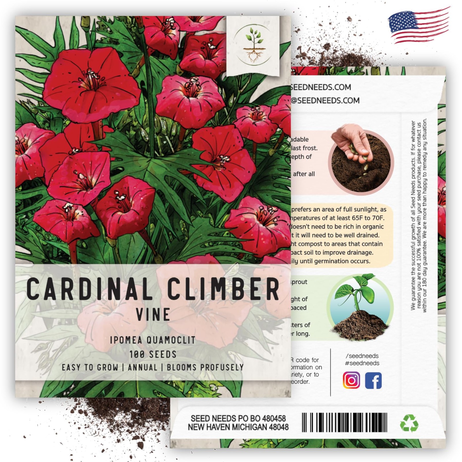 , Cardinal Climber Seeds – 100 Heirloom Seeds for Planting Ipomea Quamoclit -…