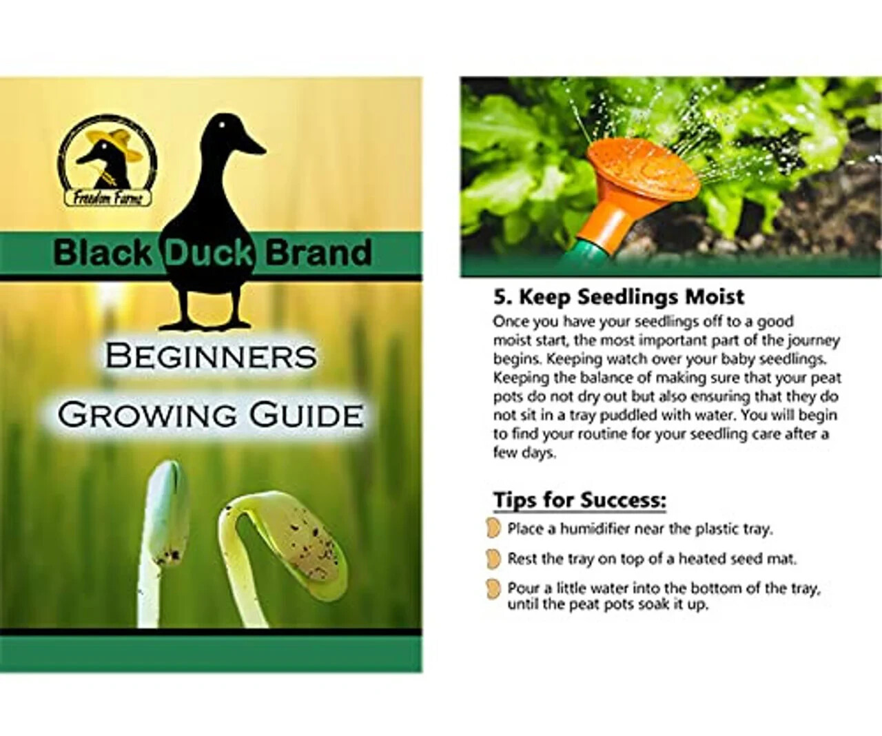 Deluxe Superfood Garden Starter Kit – Includes: Everything You Need to Start