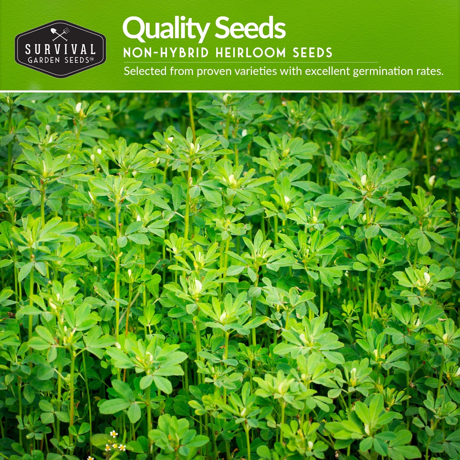 Spring Vegetable Seed Collection 10 Heirloom Non-GMO Seeds – Cool Weather Garden