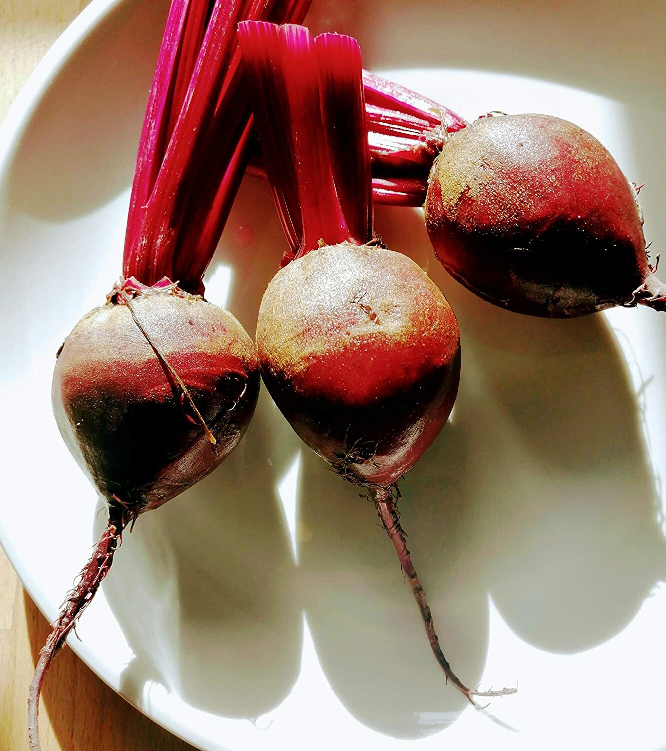 Organic Bull’s Blood Beet 200 Seeds – Beta vulgaris Non-GMO Bulls Blood Heirloom