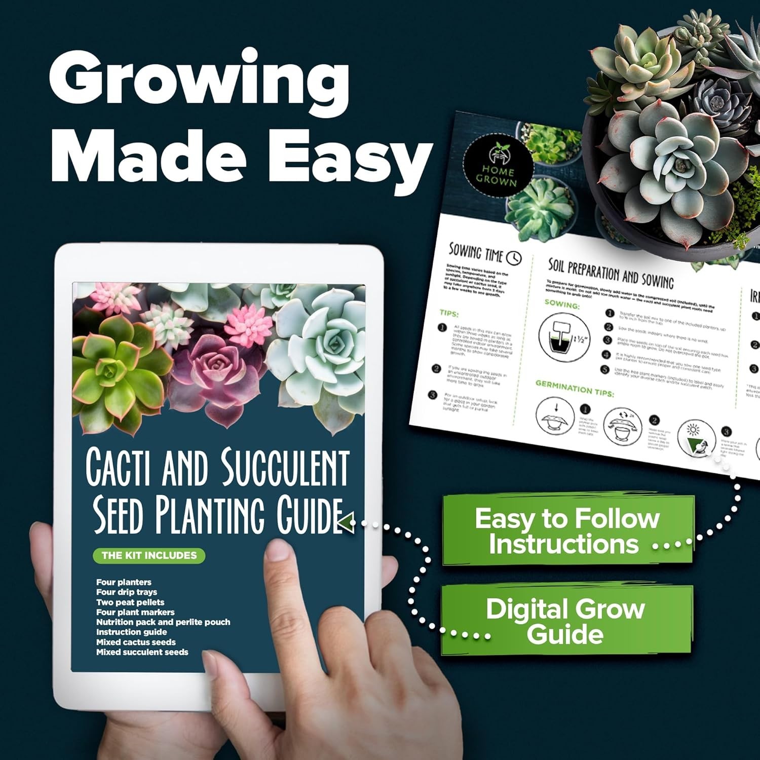 Indoor & Outdoor Cactus & Succulent Starter Kit – All-in-One Gardening