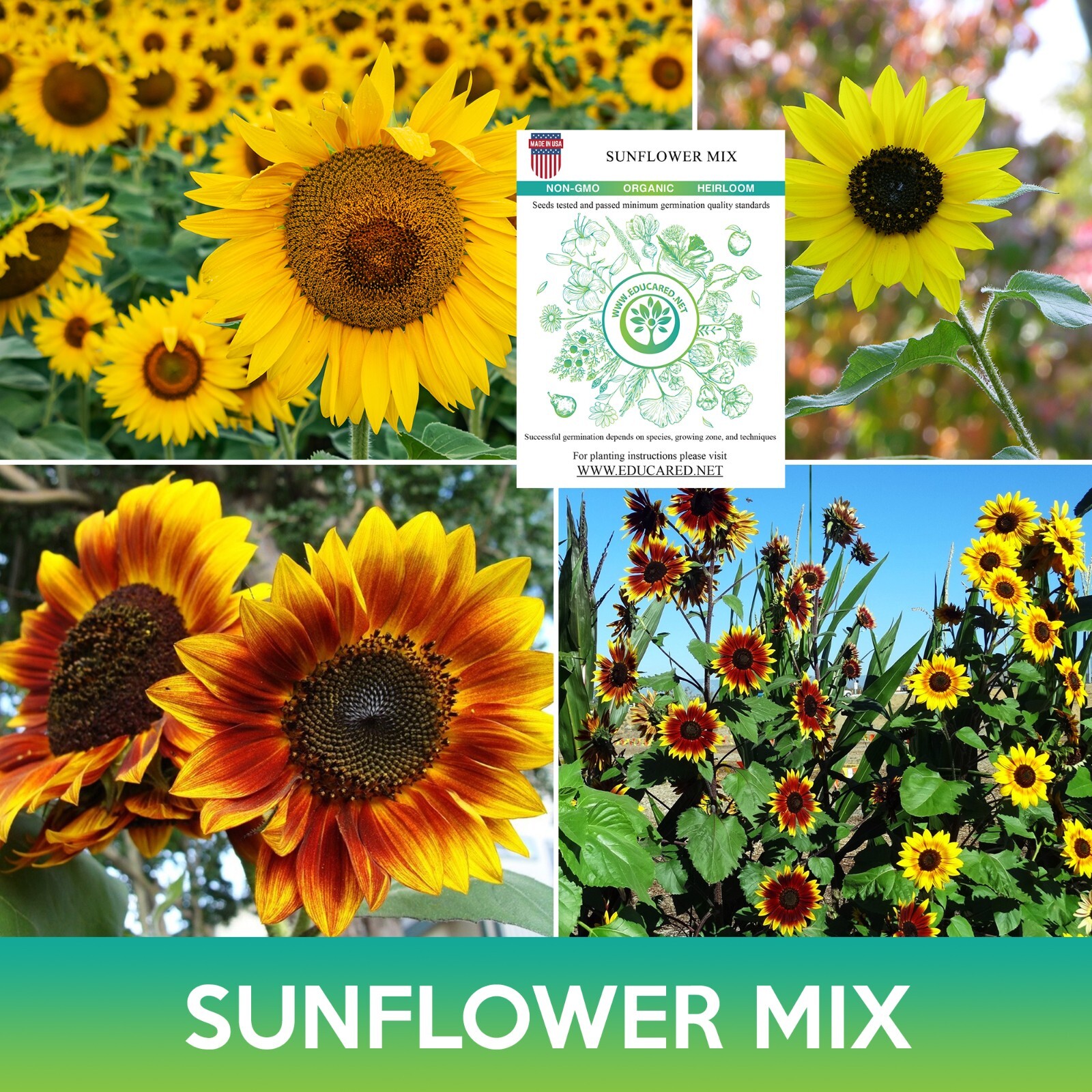 Sunflower Mix Seeds