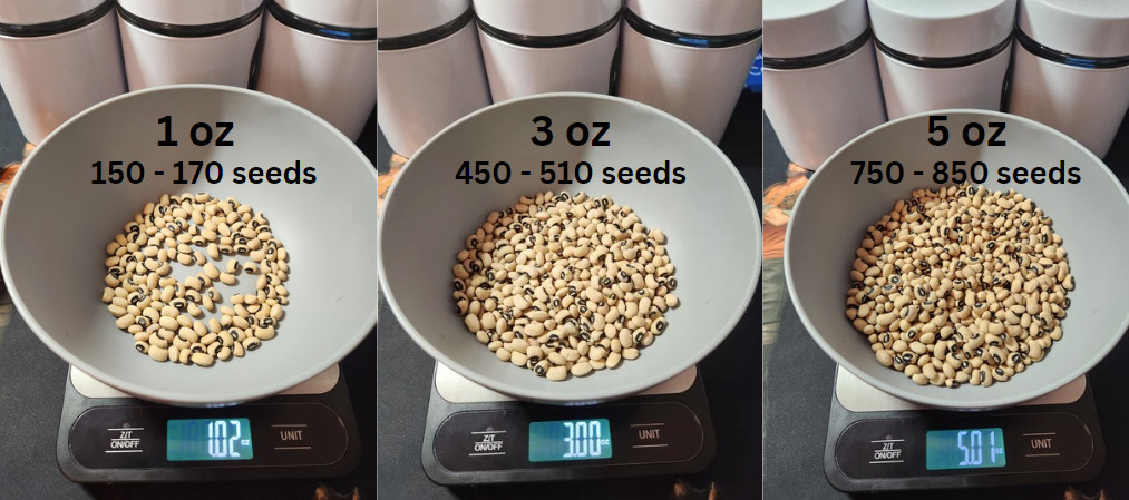 Wholesale Seeds, Semillas al por mayor, Puerto Rico, gandules, beans, hydroponic