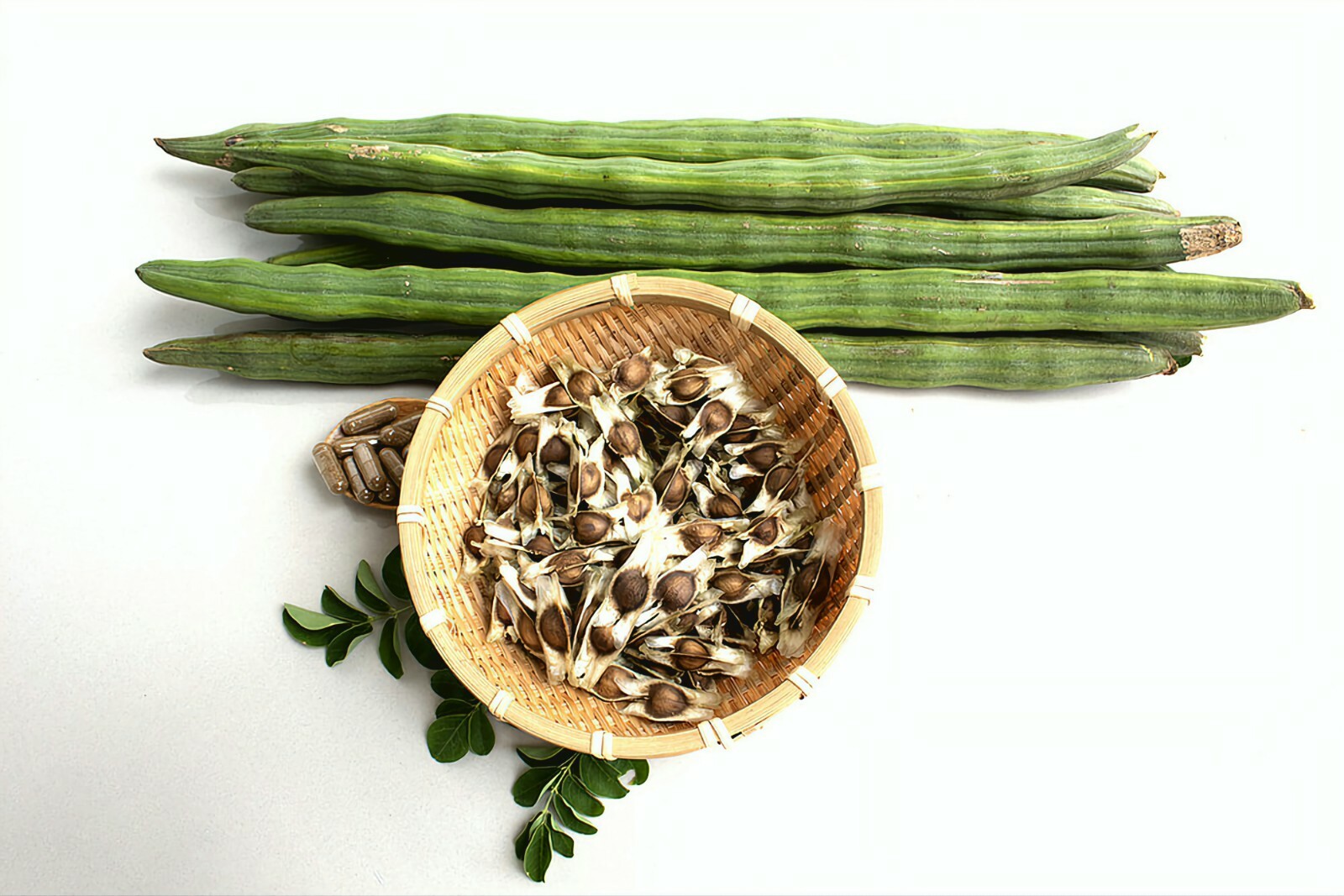 50 Moringa Oleifera Seeds Organic Non GMO Pkm1 Variety 95% Germination Rate