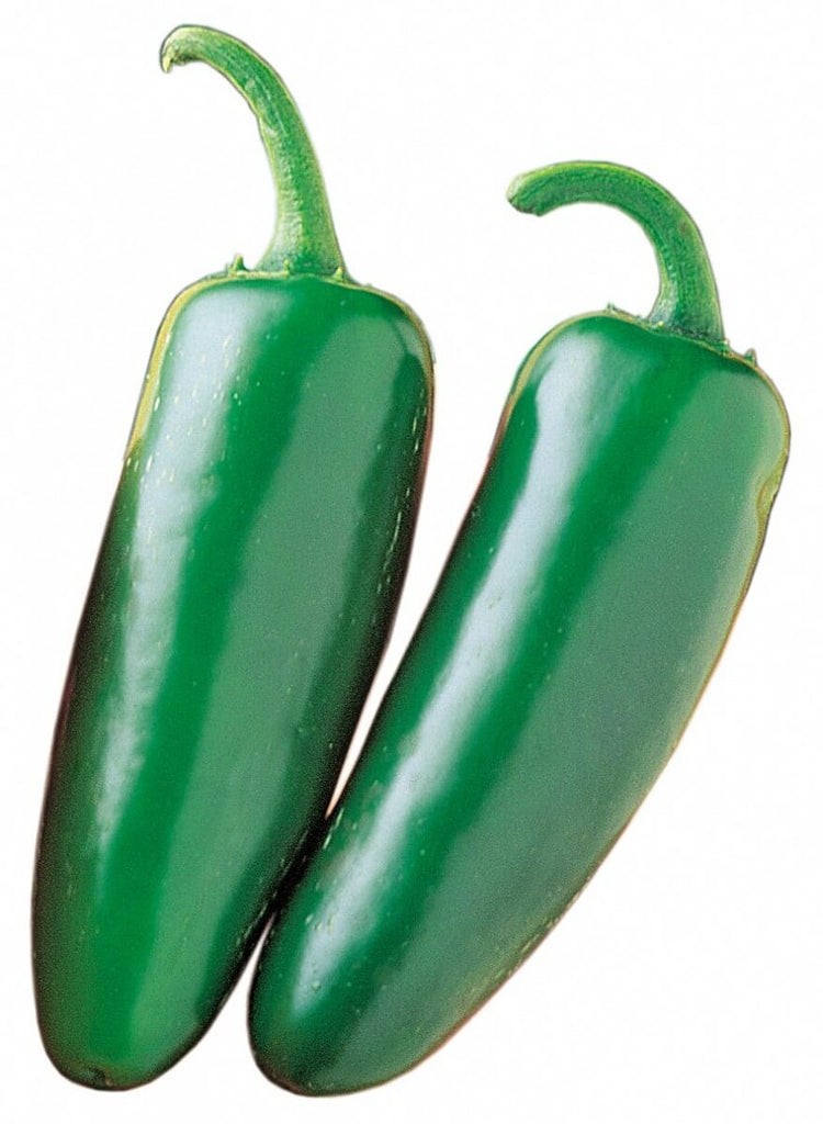 Mucho Nacho Jalapeno Pepper – 10 Seeds