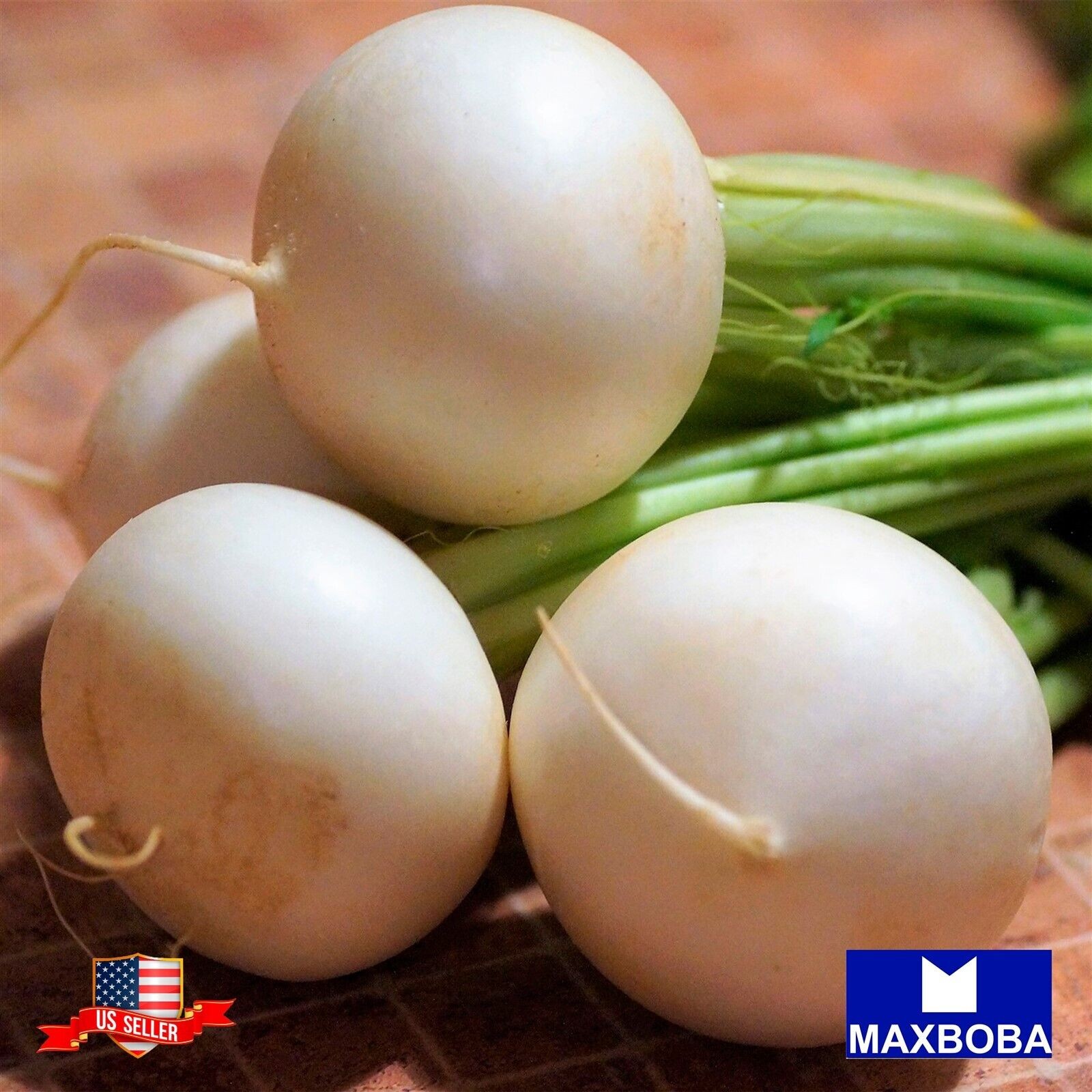 200 Radish Fresh Seeds – Hailstone Raphanus Sativus Non-GMO Heirloom