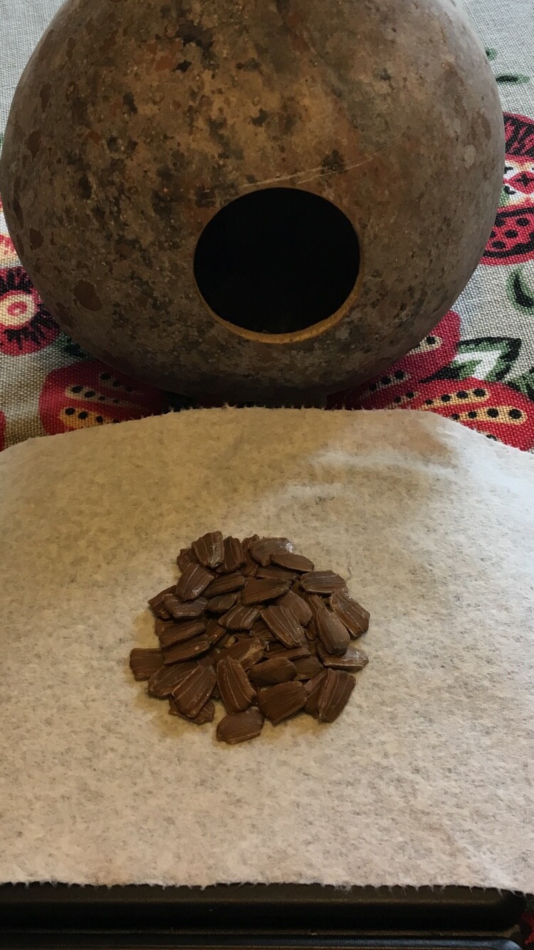 50+ Purple Martin birdhouse gourd seeds – the original from Alabama gourd seeds